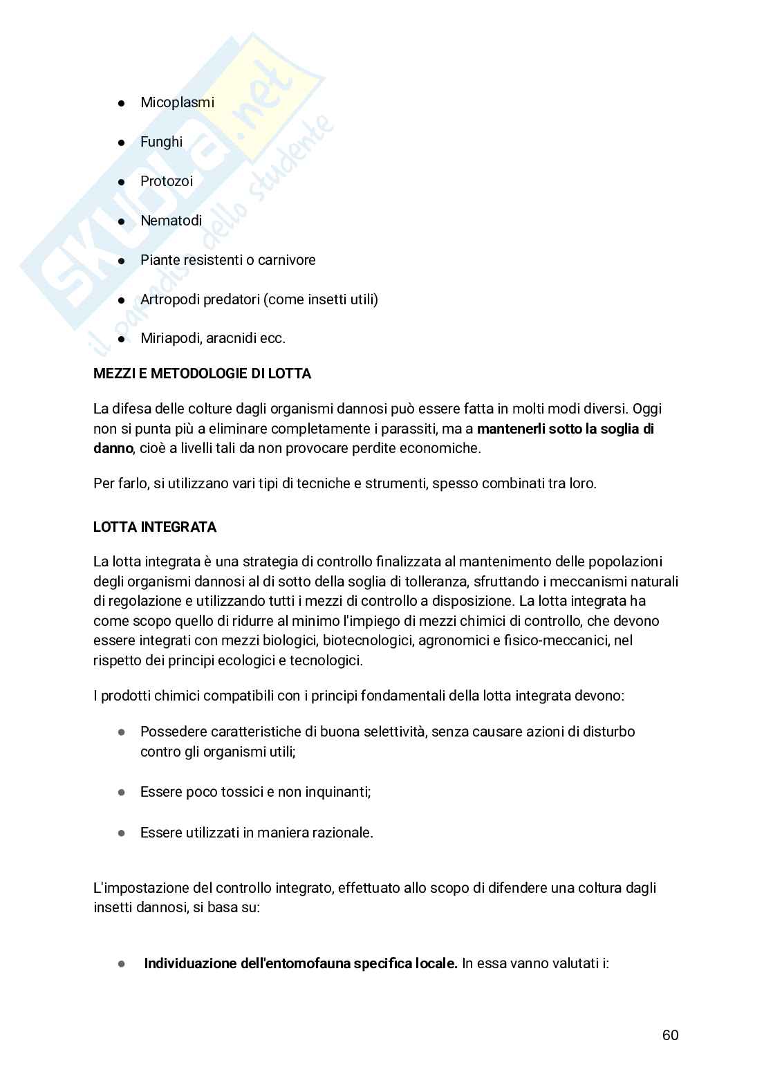 Appunti Entomologia viticola Pag. 61