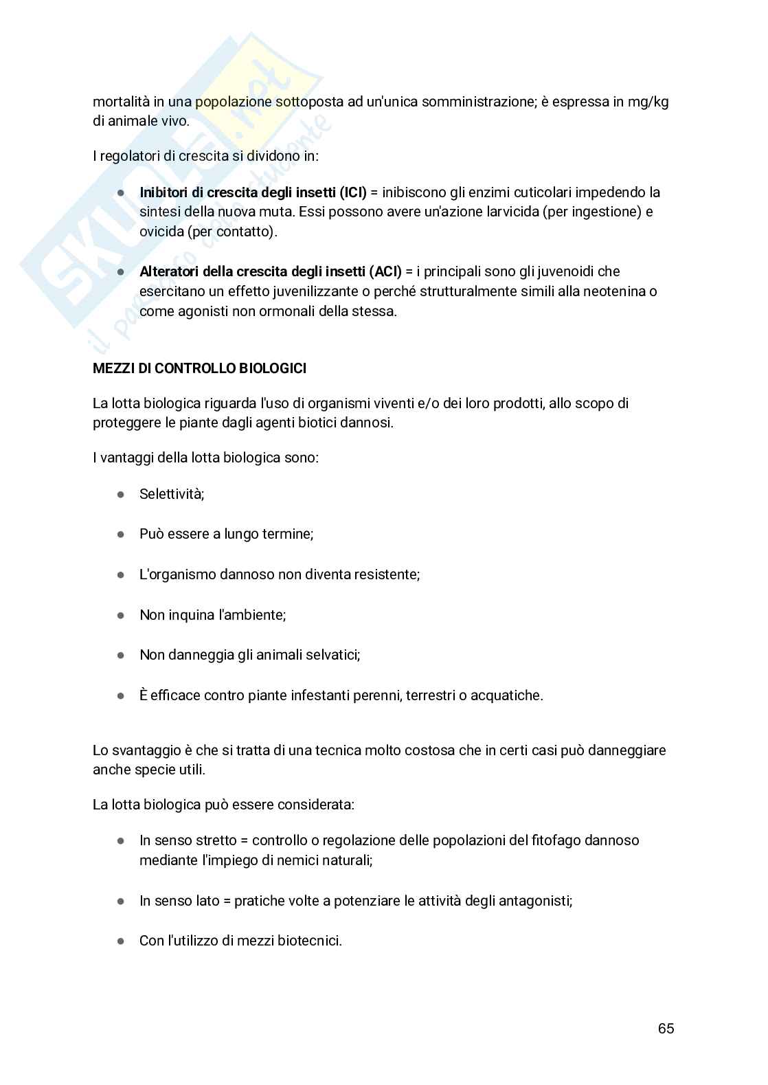 Appunti Entomologia viticola Pag. 66