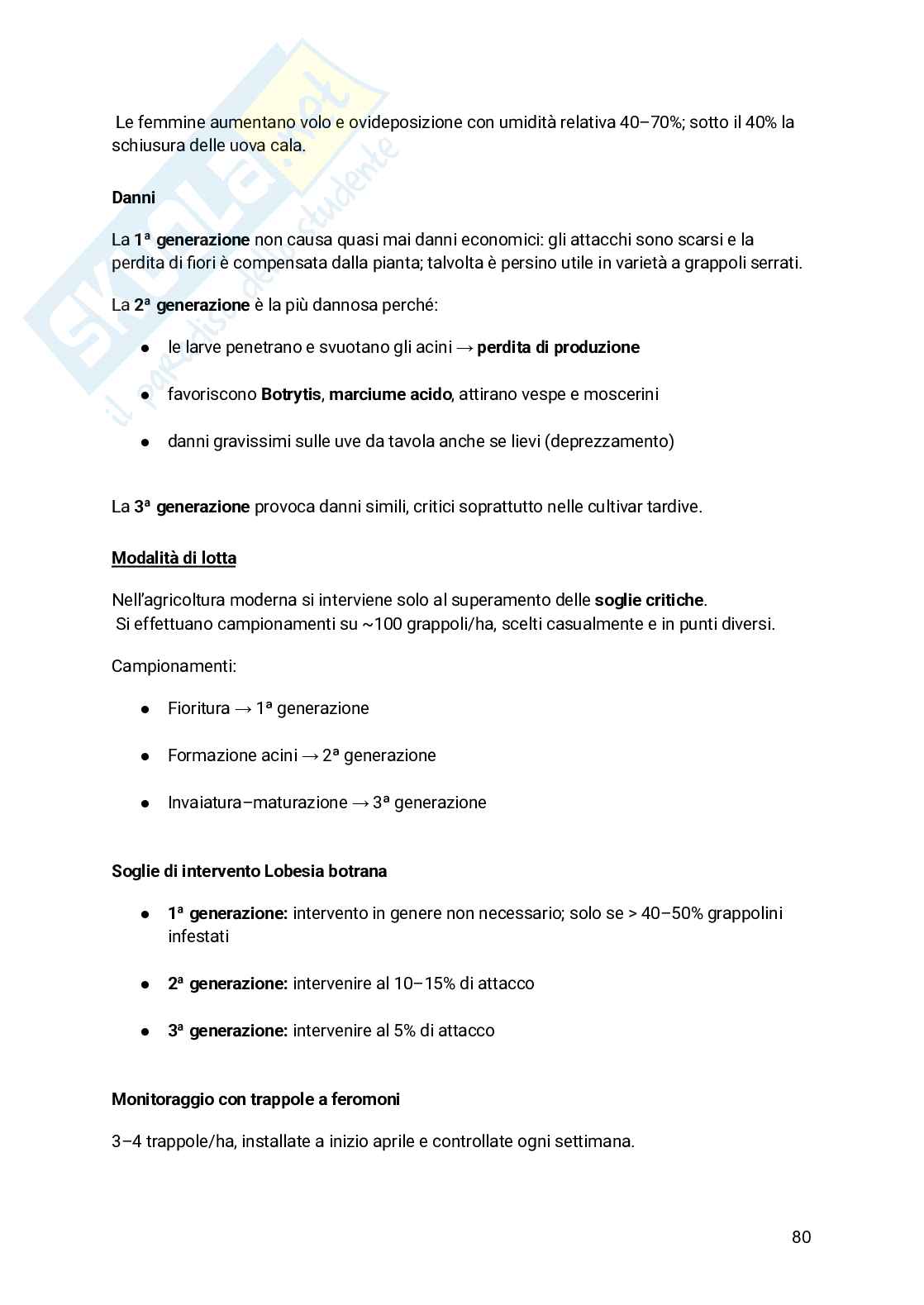 Appunti Entomologia viticola Pag. 81