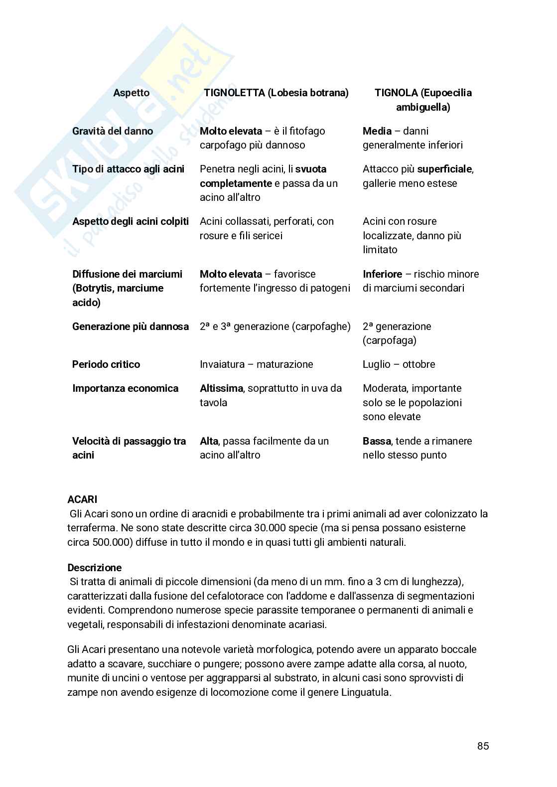 Appunti Entomologia viticola Pag. 86