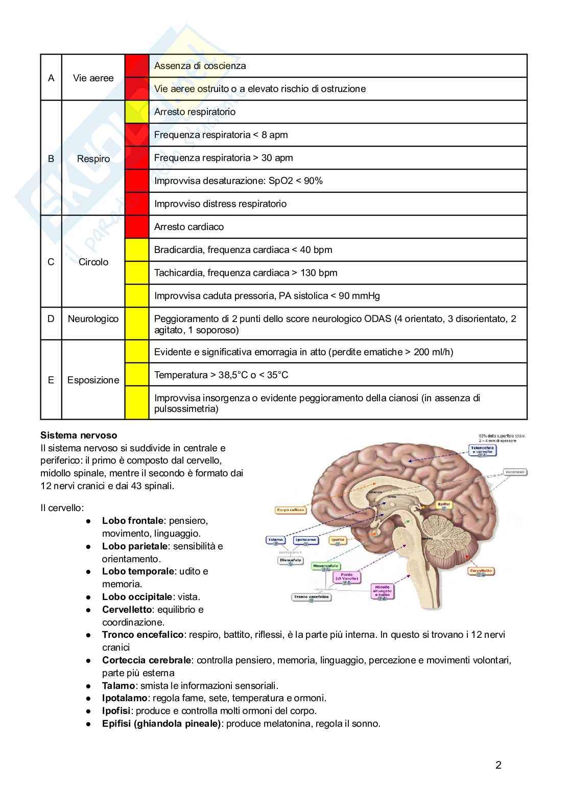 Rianimazione e terapia intensiva Pag. 2