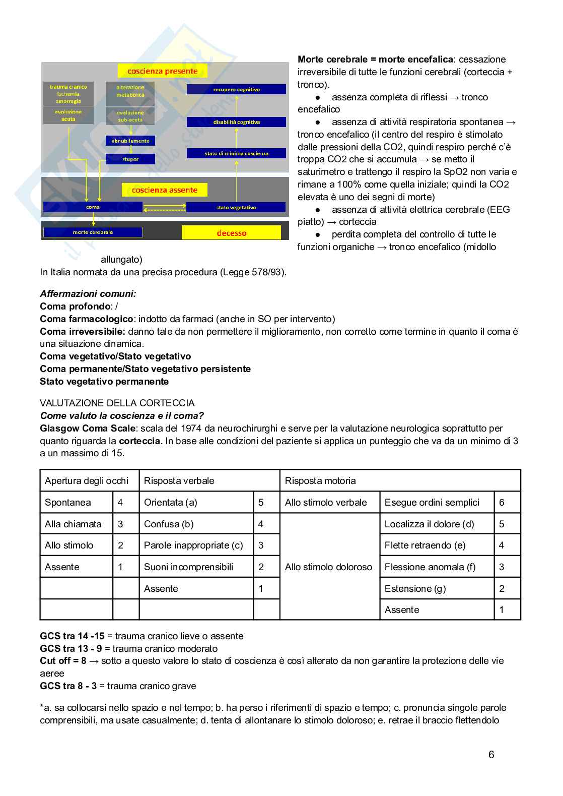Rianimazione e terapia intensiva Pag. 6