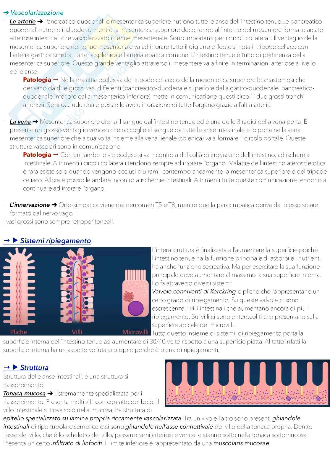 Anatomia 1 Pag. 66