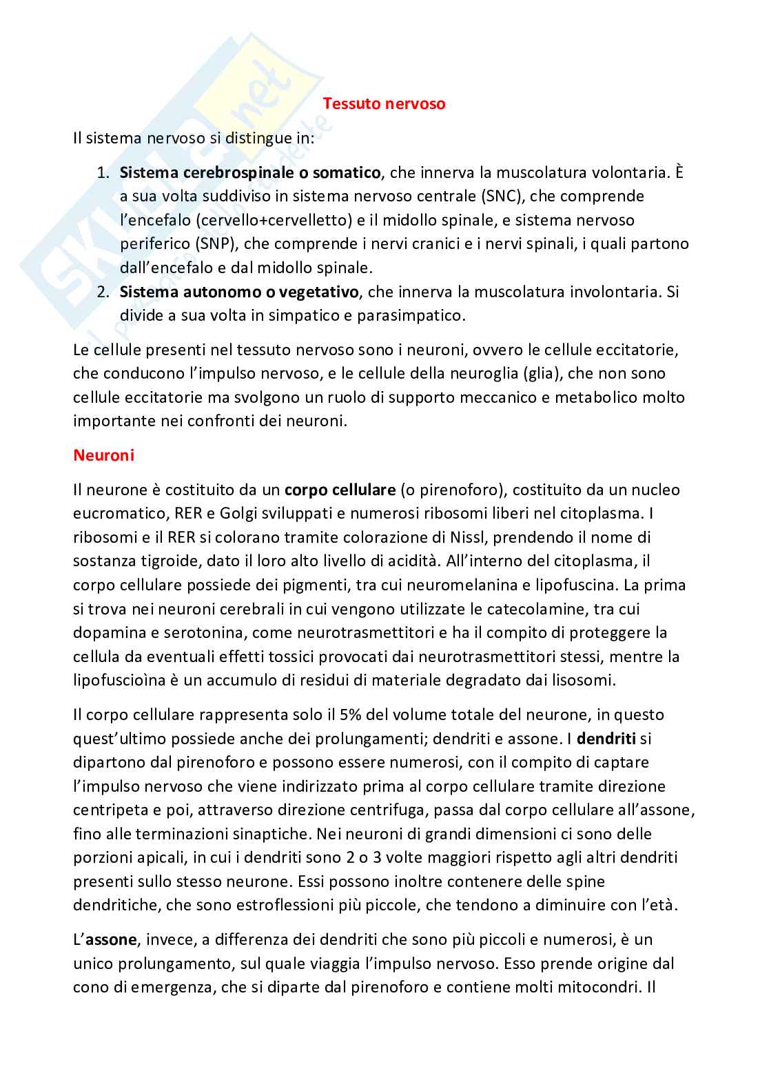 Riassunto esame Citologia e istologia, Prof. Mastrodonato Maria, libro consigliato Citologia e Istologia , Isabella Dalle Donne Pag. 1