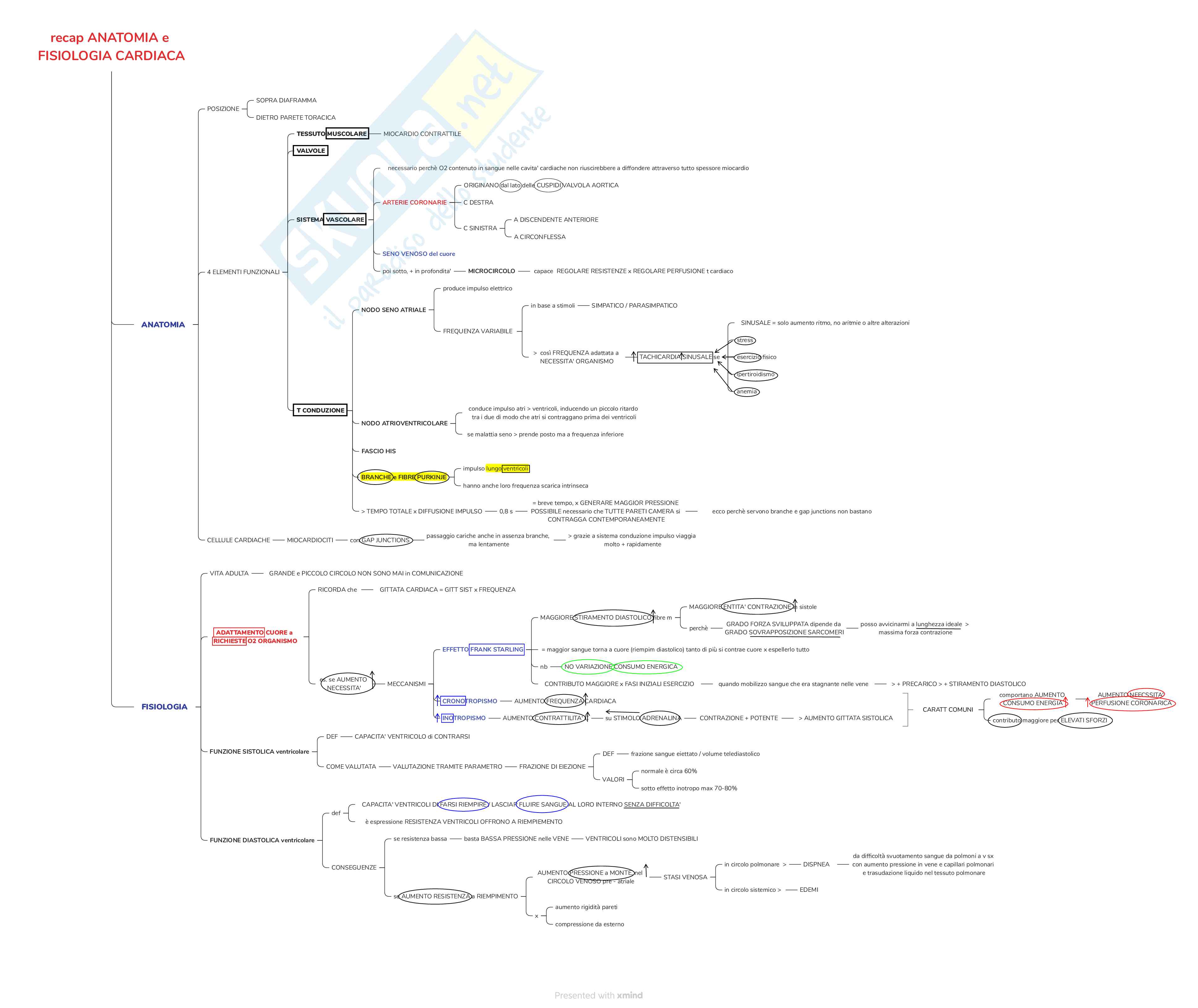 Mappe Concettuali modulo di Cardiologia, Specialità medico chirurgiche 1 Pag. 1