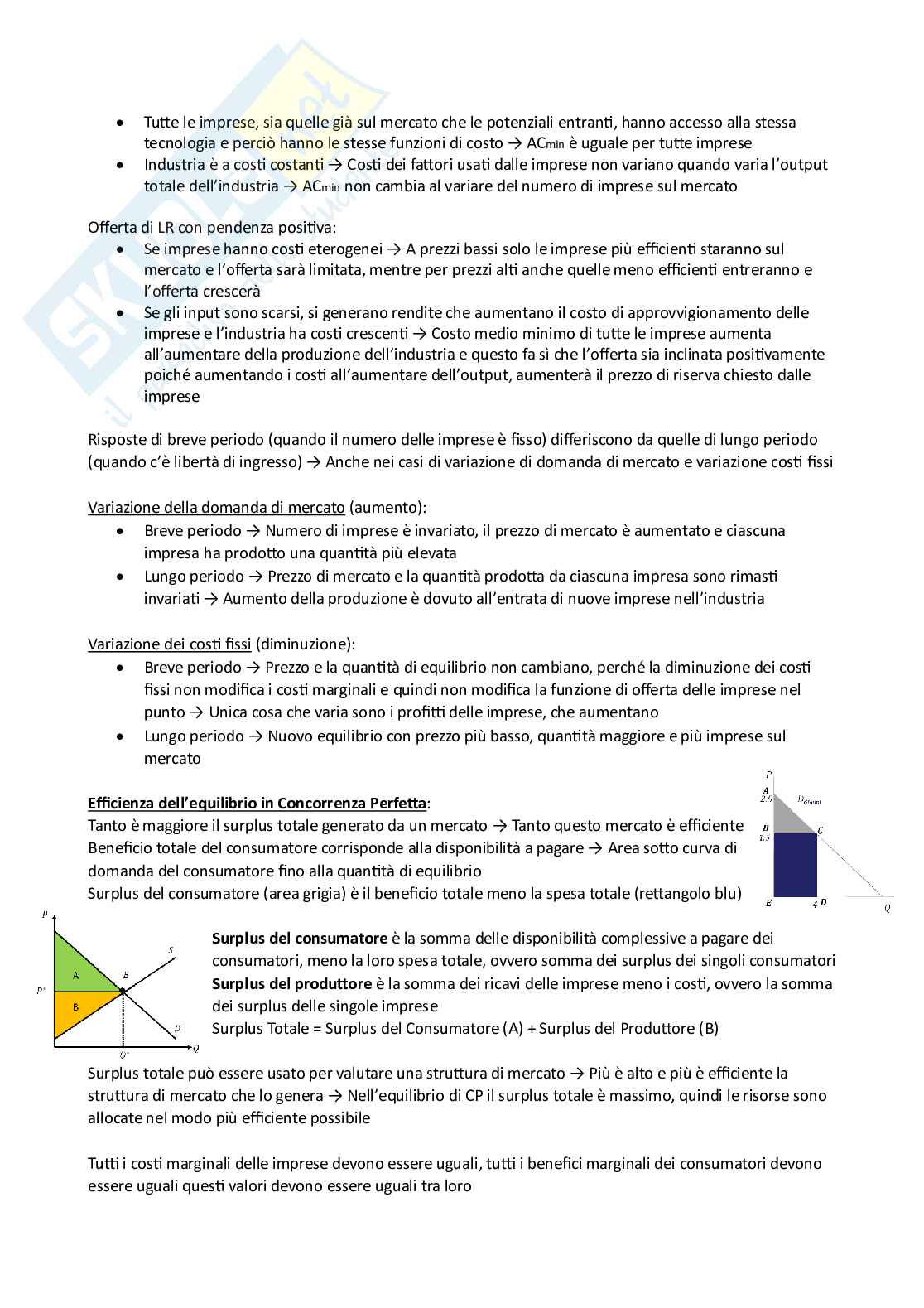 Microeconomia - prova di completamento Pag. 6