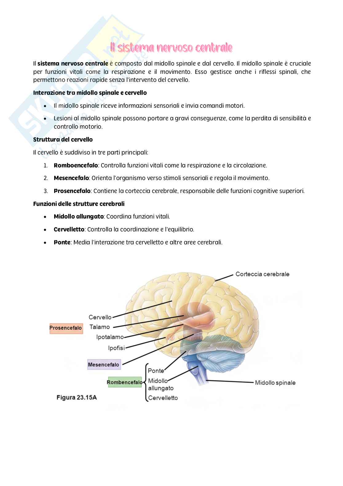 Psicologia generale - parte I Pag. 16
