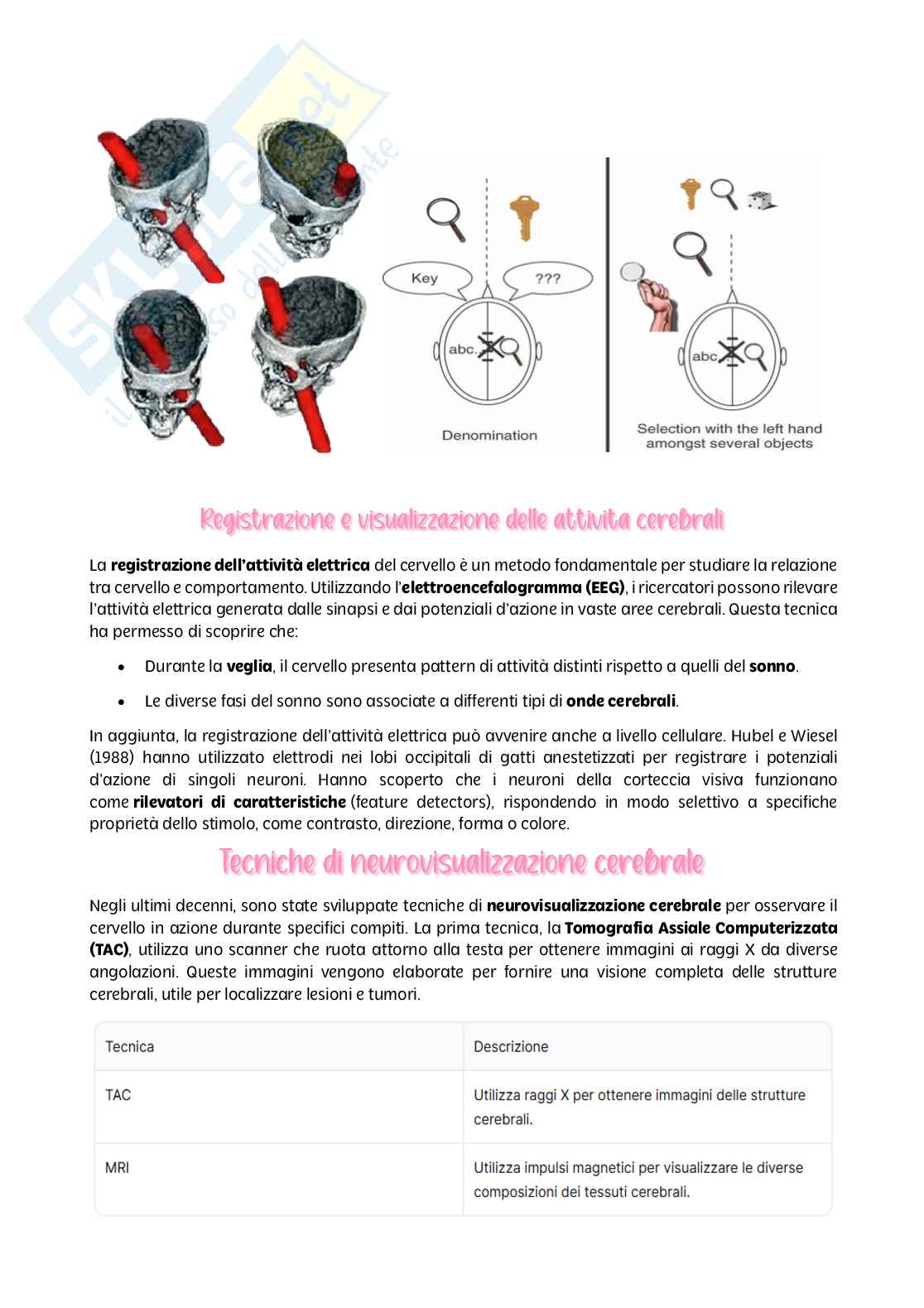 Psicologia generale - parte I Pag. 21