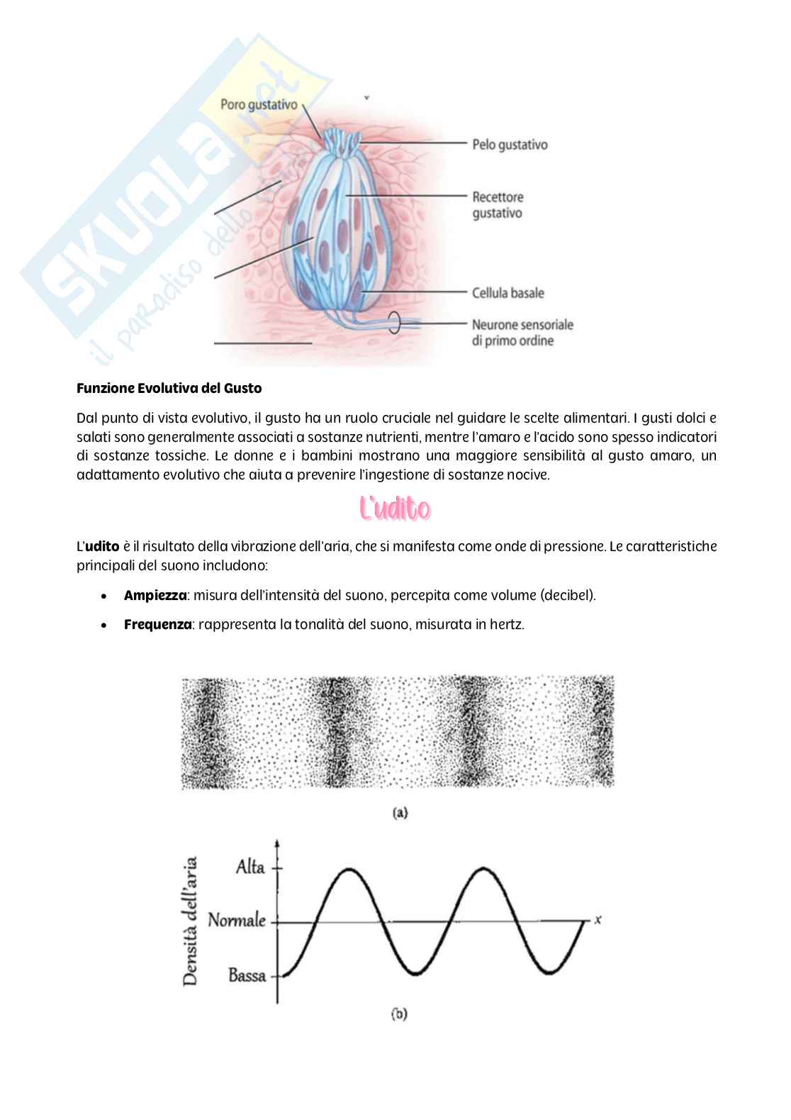 Psicologia generale - parte I Pag. 26