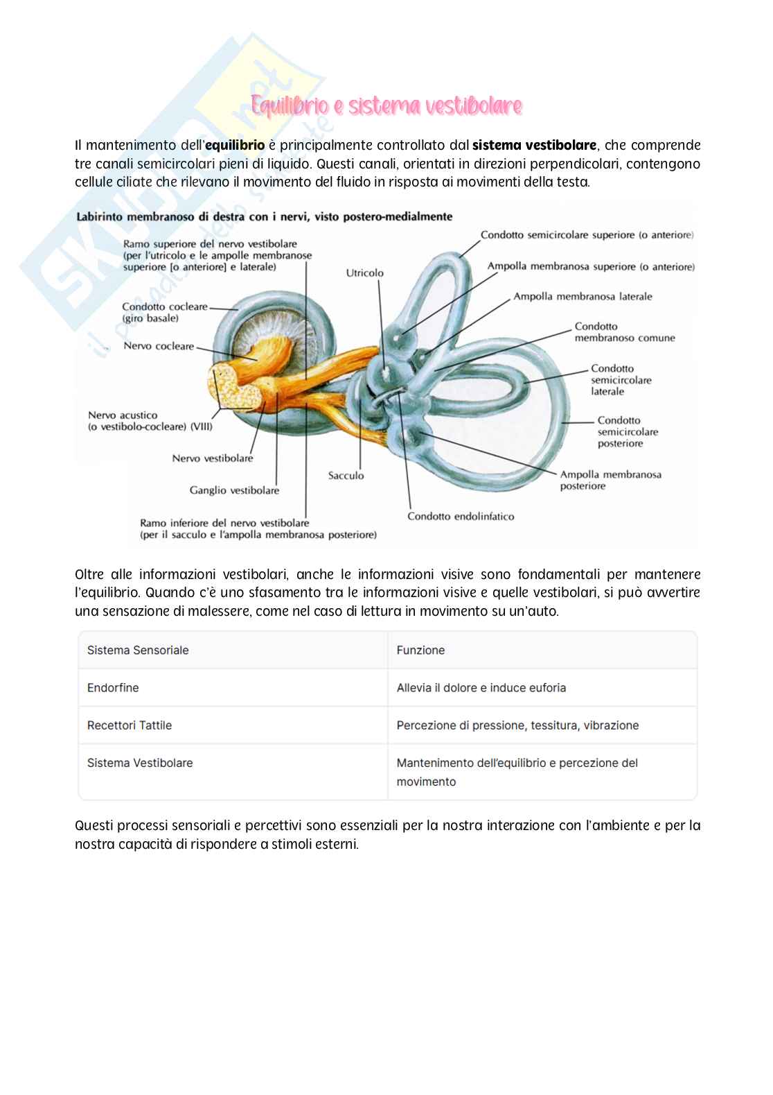 Psicologia generale - parte I Pag. 31