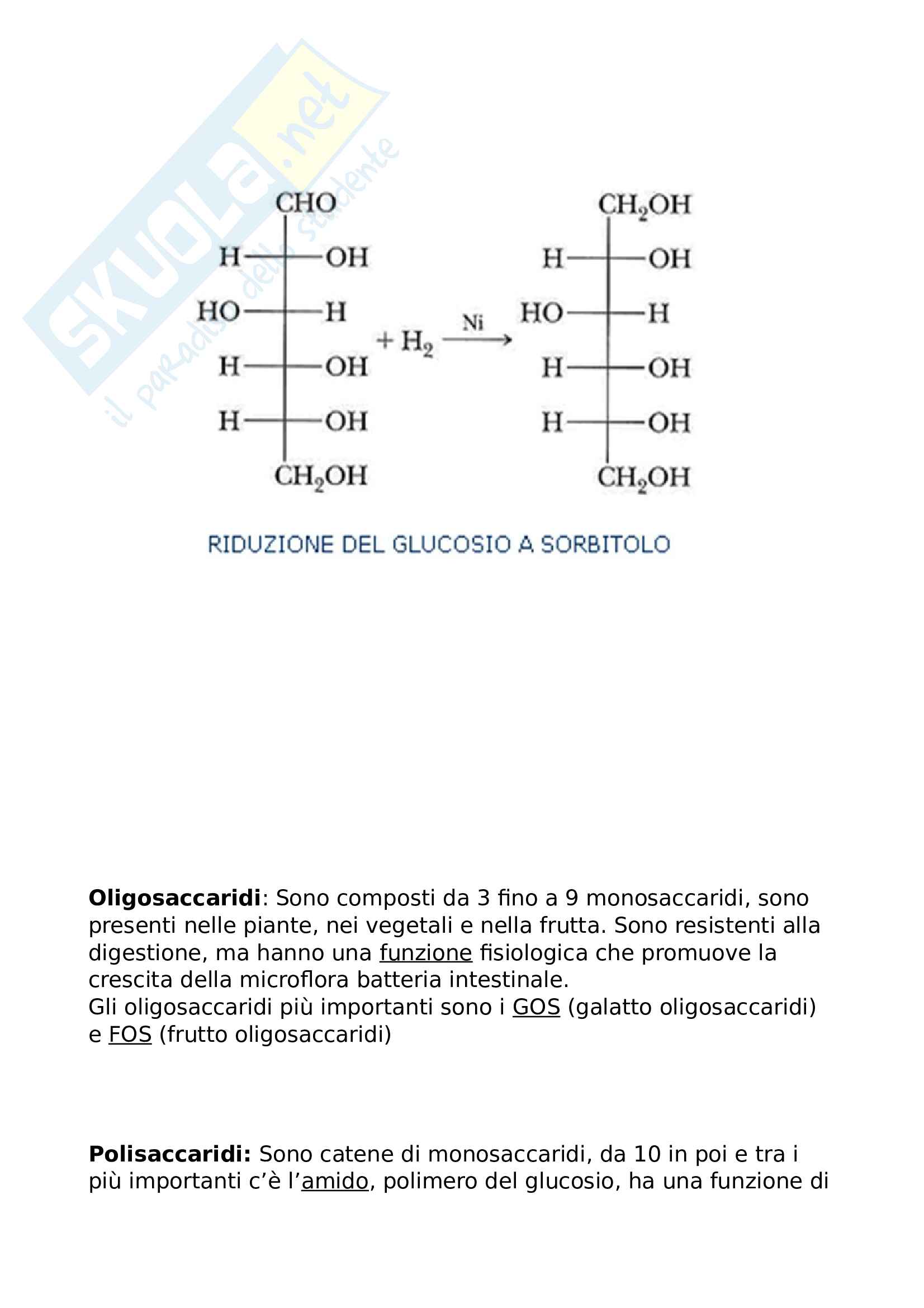 Macro e Micro Nutrienti Pag. 6
