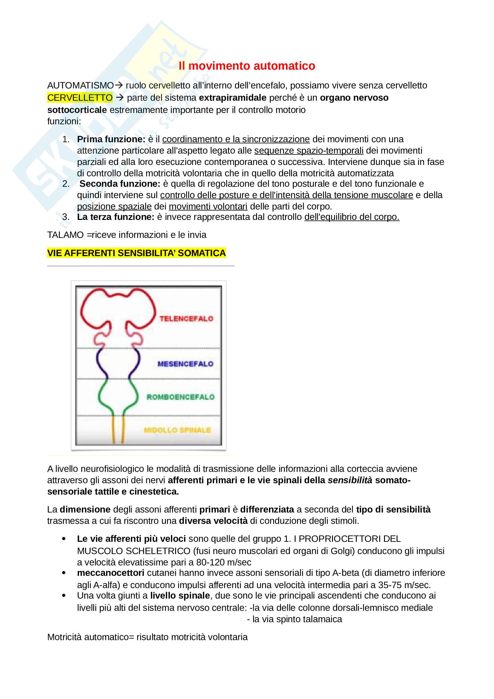 Il movimento automatico Pag. 1