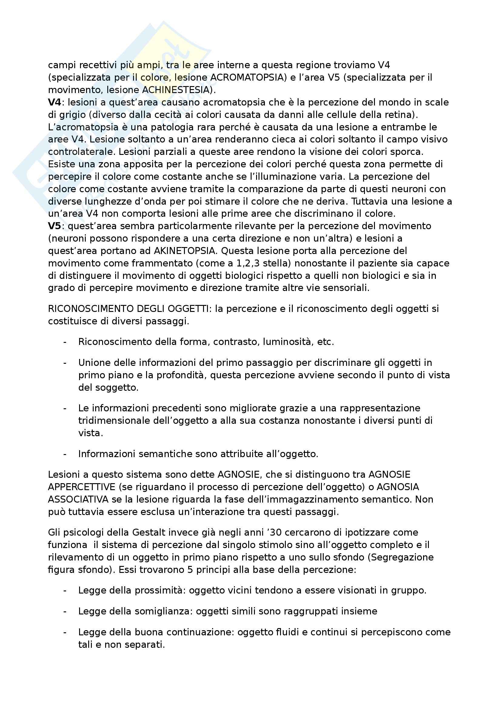 Riassunto esame Neuroscienze 2, prof. Cappa, libro consigliato The student's guide of cognitive neuroscience, Ward Pag. 16