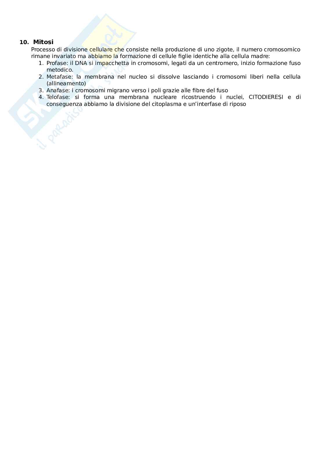 Riassunto di Genetica agraria Pag. 6
