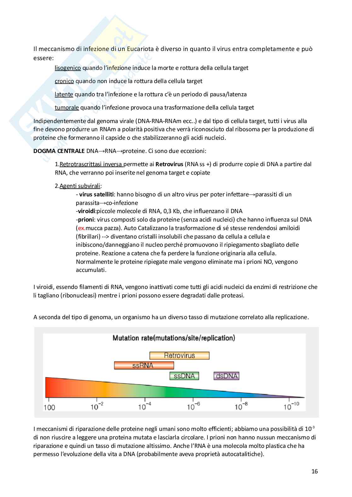Microbiologia ambientale Pag. 16