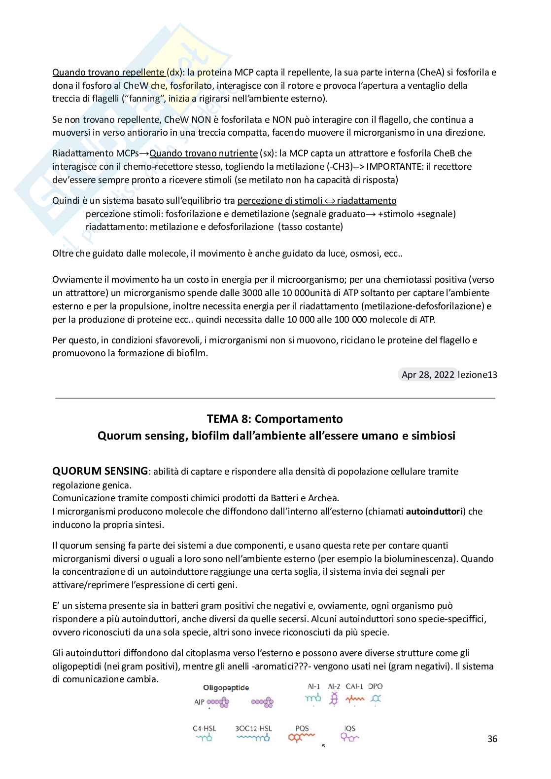 Microbiologia ambientale Pag. 36