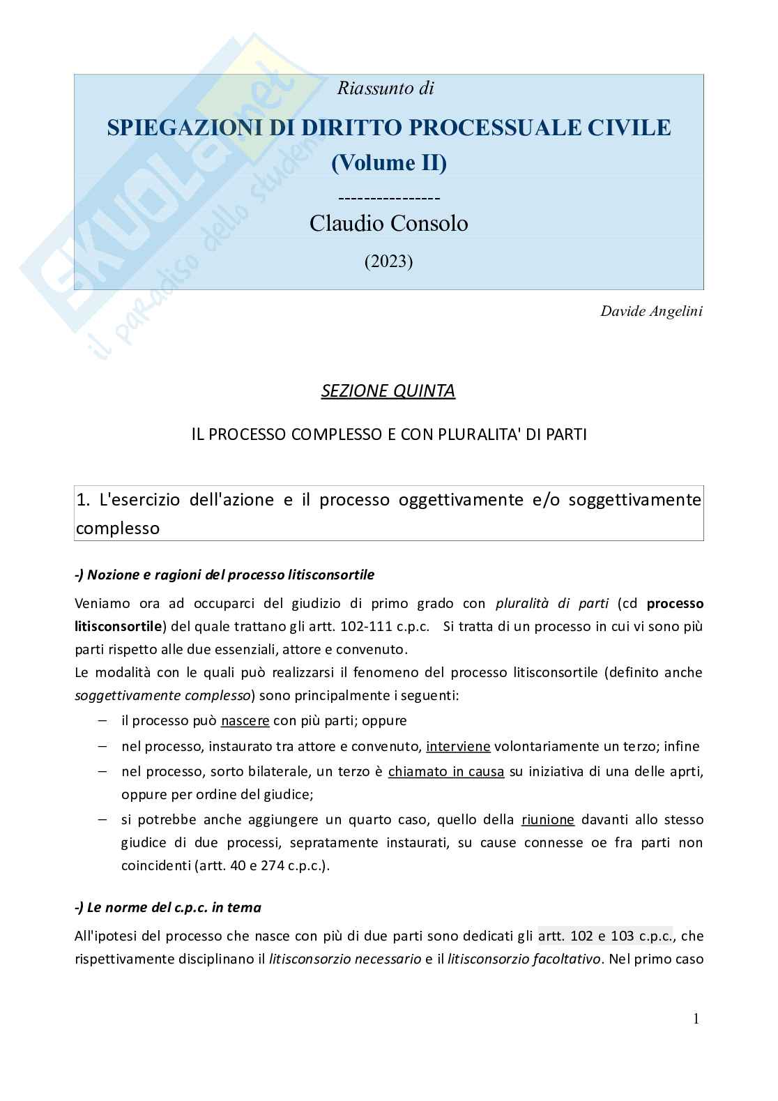 Riassunto esame Diritto processuale civile, Prof. Salvaneschi Laura Eugenia Maria, libro consigliato Spiegazioni di diritto processuale civile - Vol. 2 (2023), Consolo Pag. 1