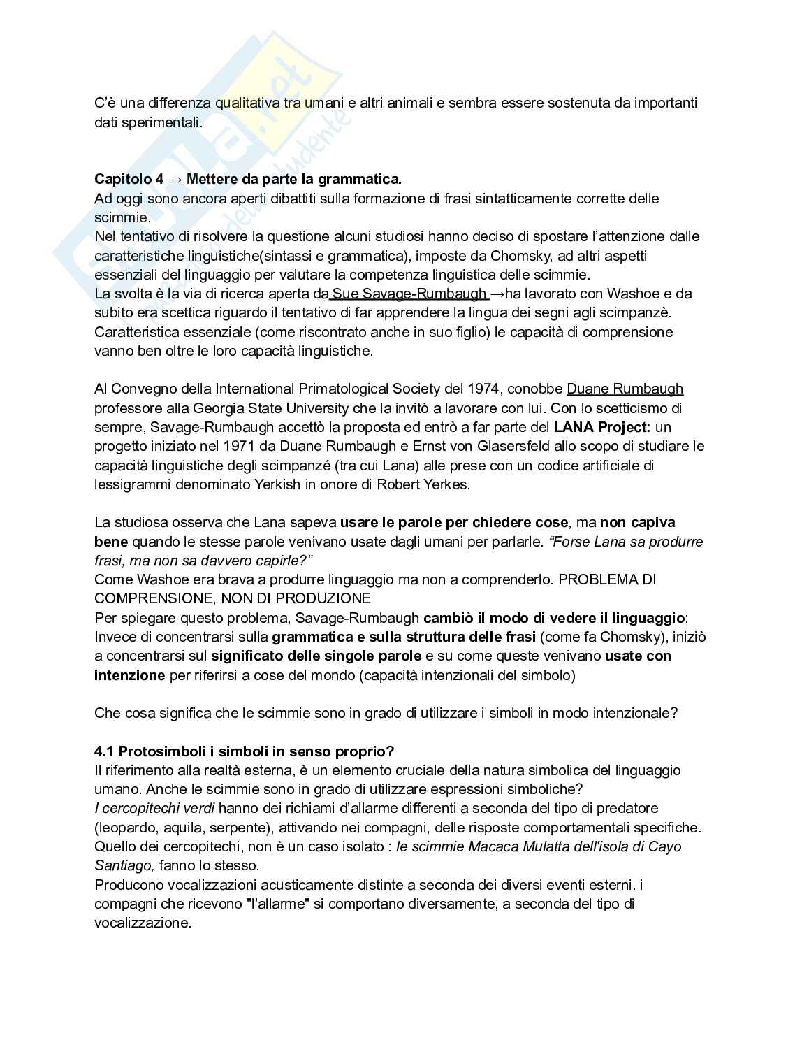 Appunti esame di Filosofia del linguaggio e della comunicazione Pag. 11