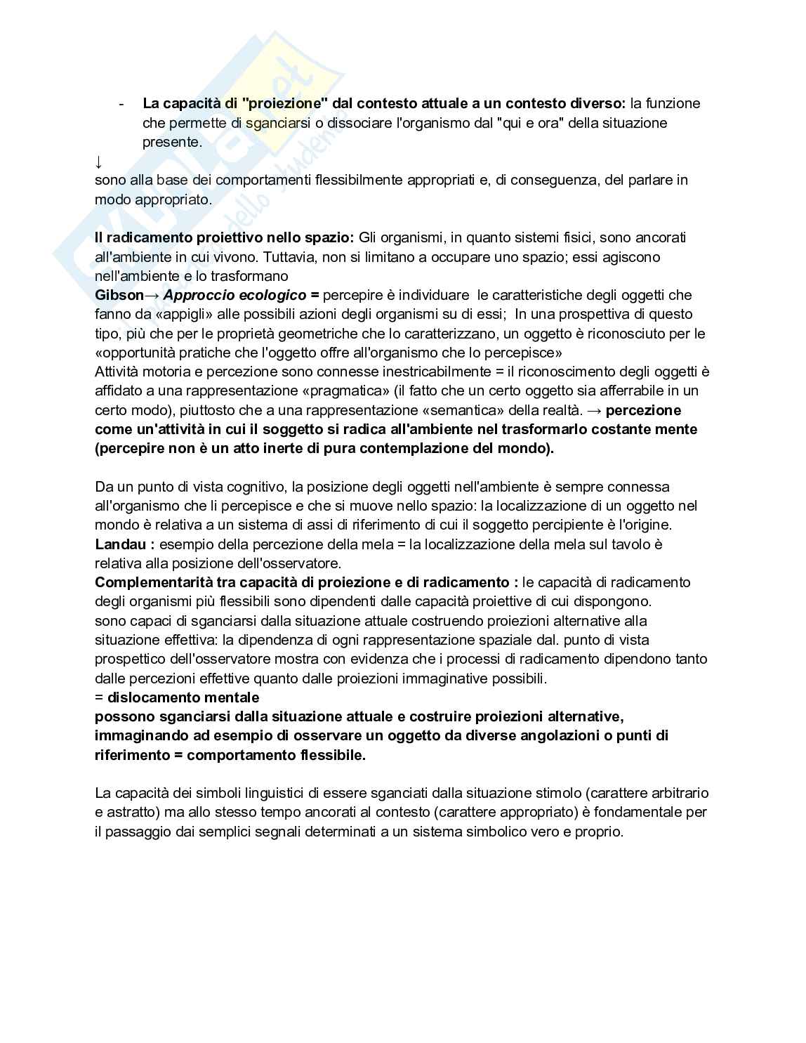 Appunti esame di Filosofia del linguaggio e della comunicazione Pag. 51