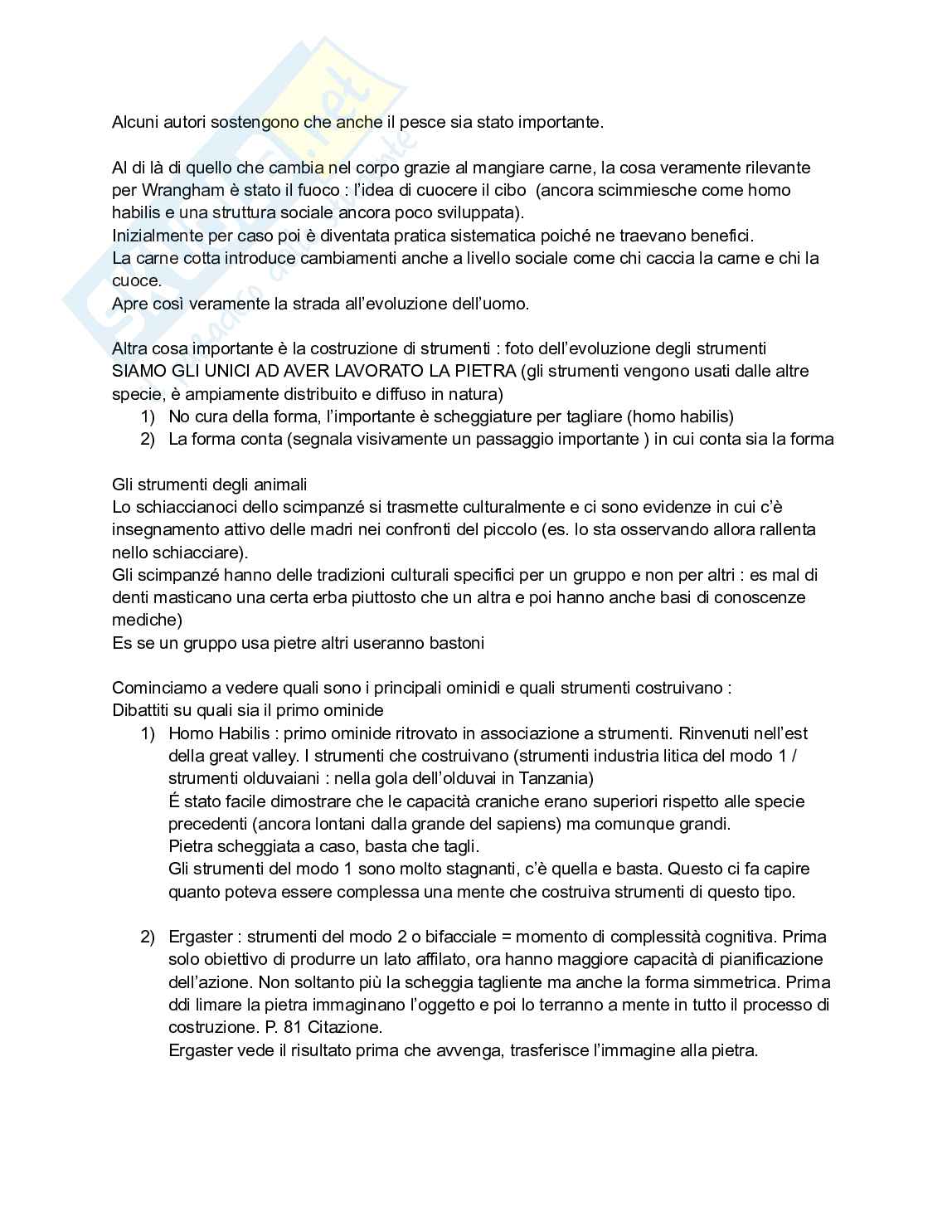 Appunti esame di Filosofia del linguaggio e della comunicazione Pag. 96