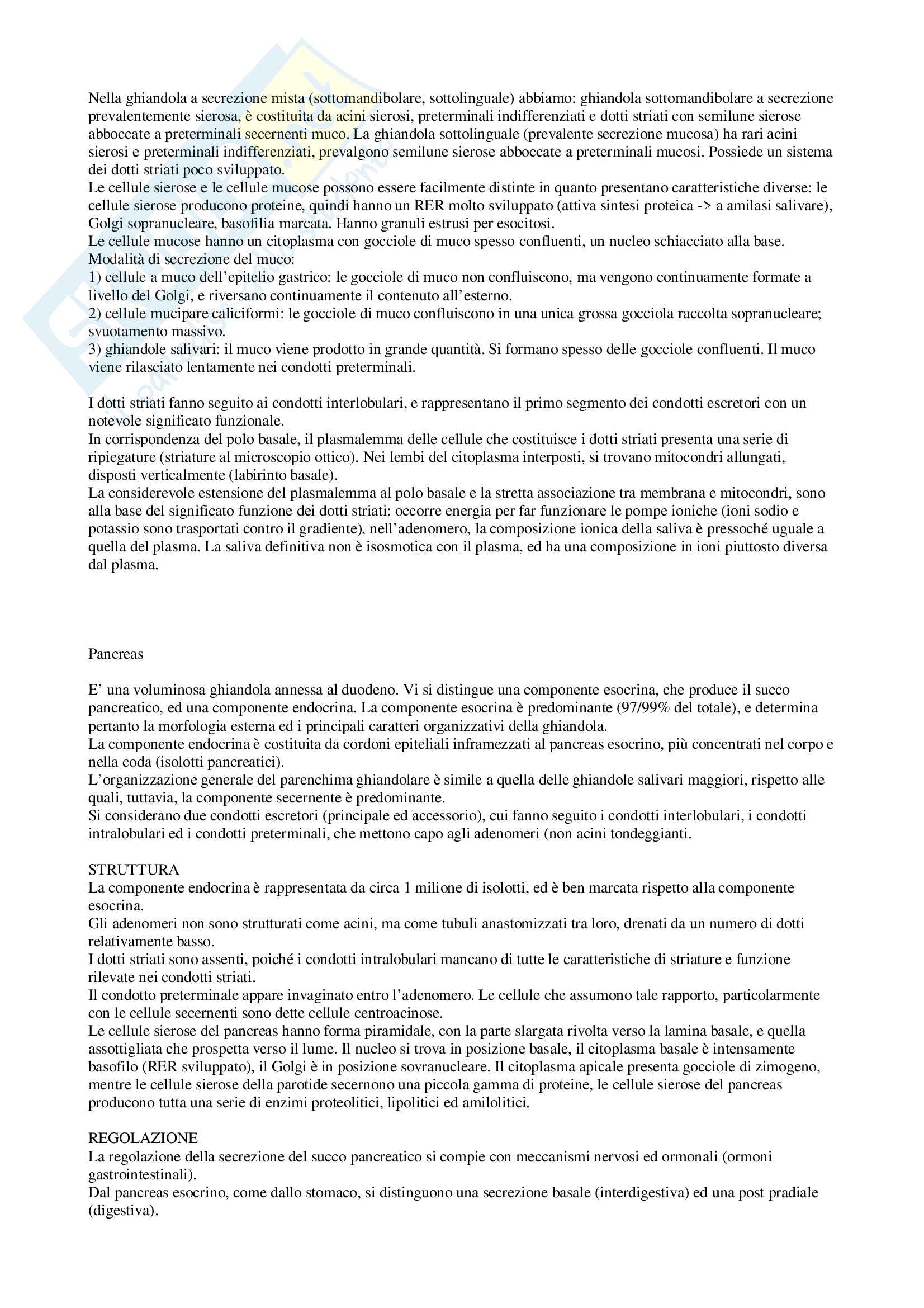 Anatomia - Nozioni generali Pag. 11