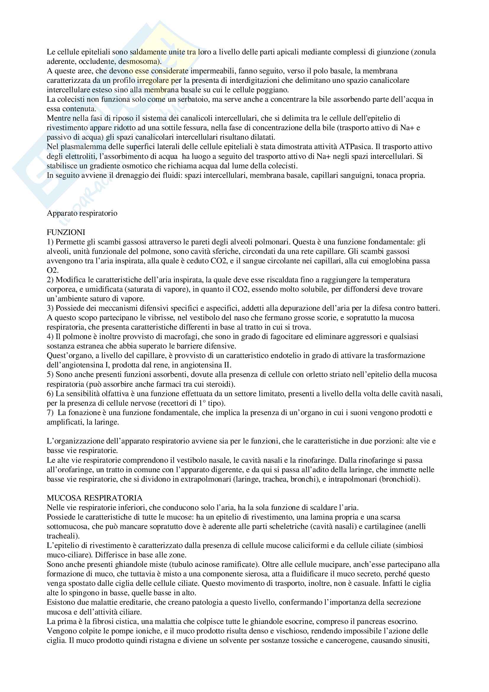 Anatomia - Nozioni generali Pag. 16