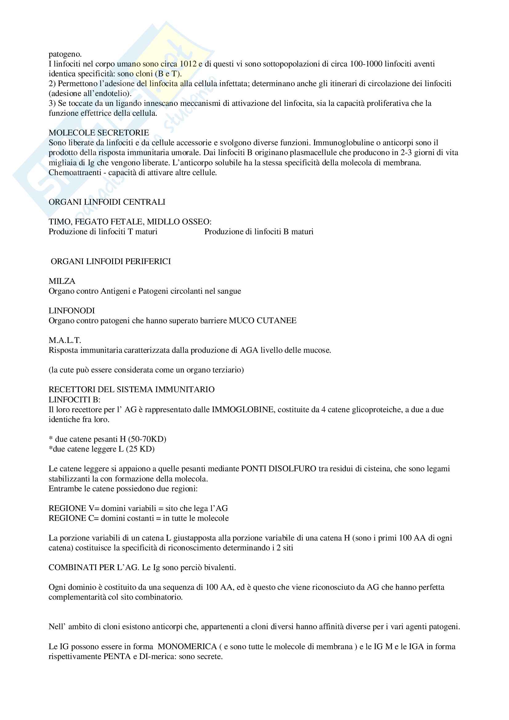 Anatomia - Nozioni generali Pag. 41