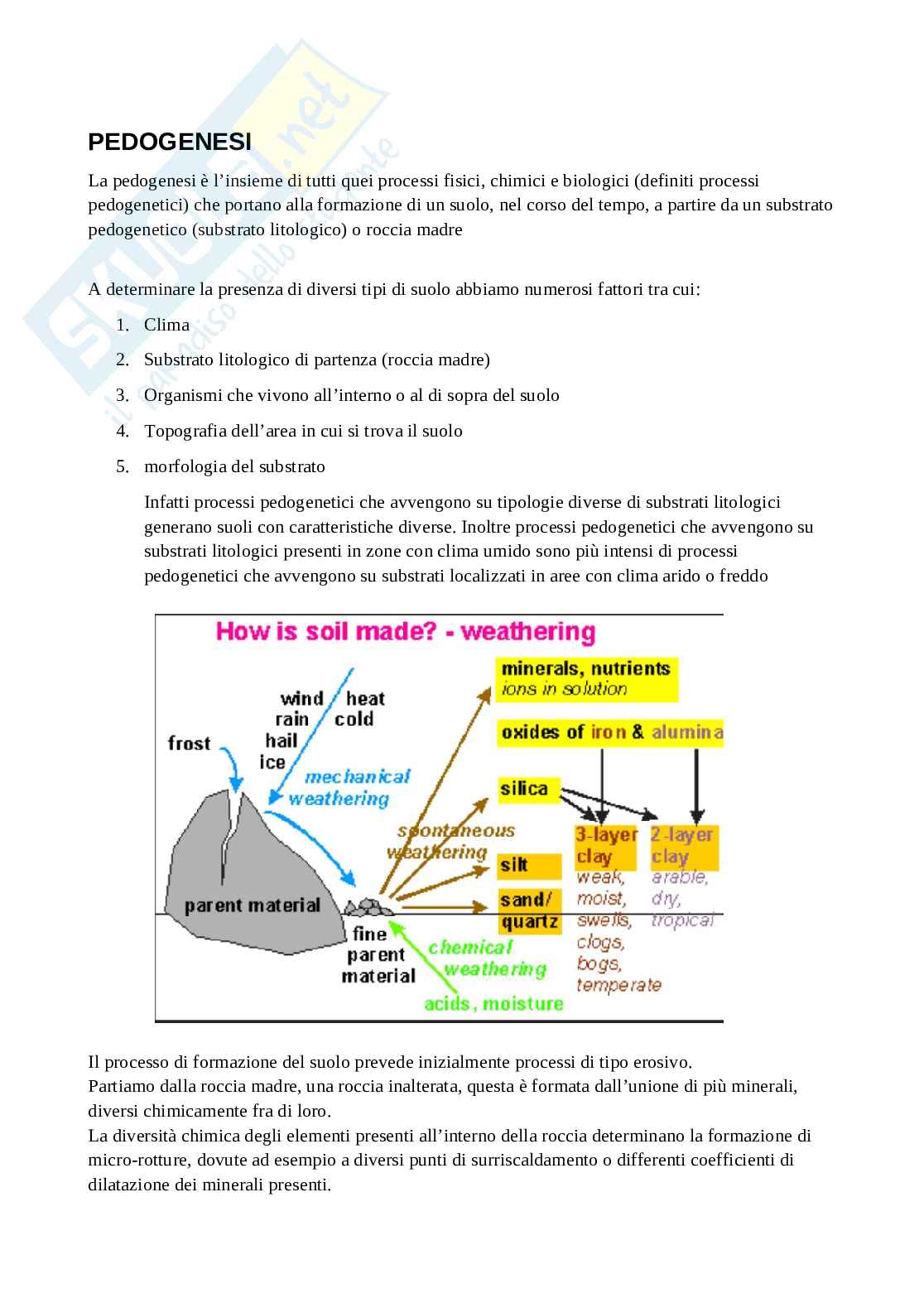 Appunti di Ecologia  Pag. 51
