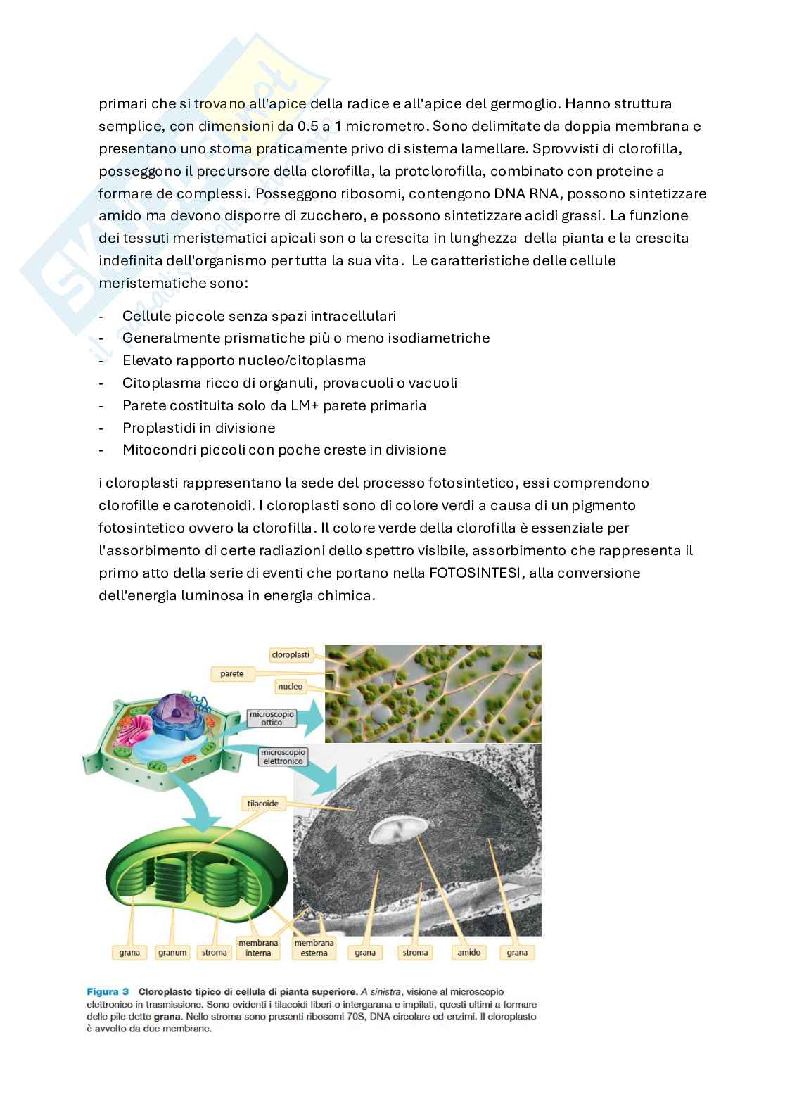 Biologia farmaceutica  Pag. 2