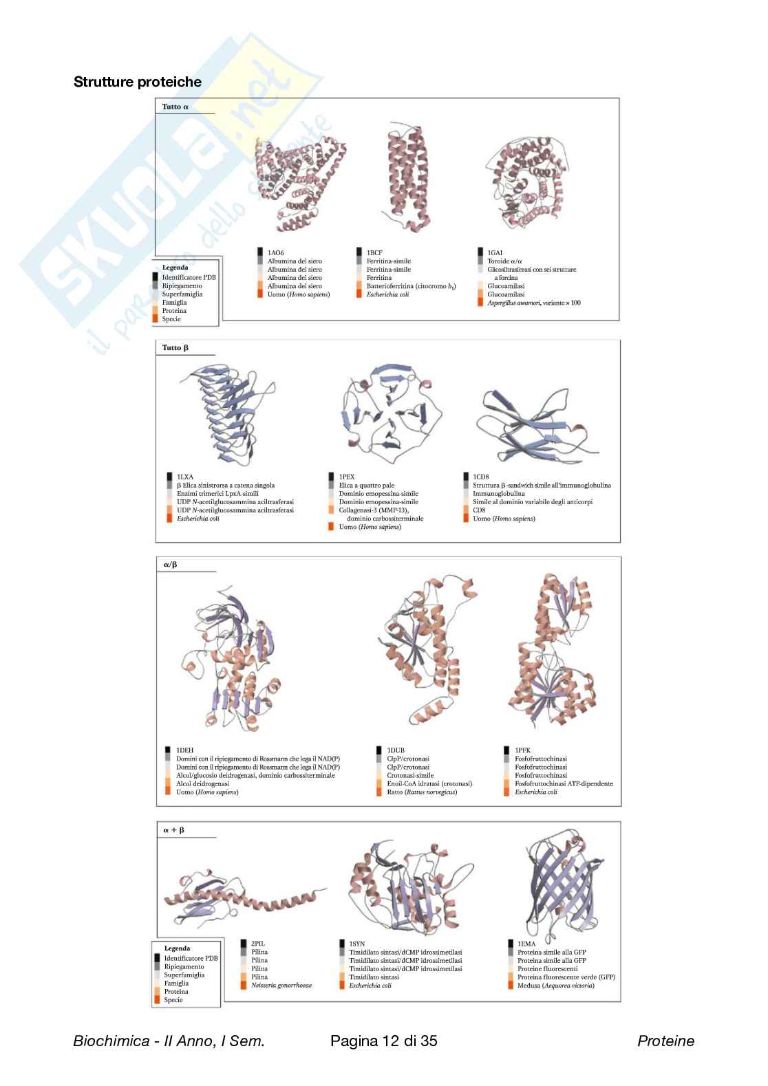 Biochimica Pag. 41