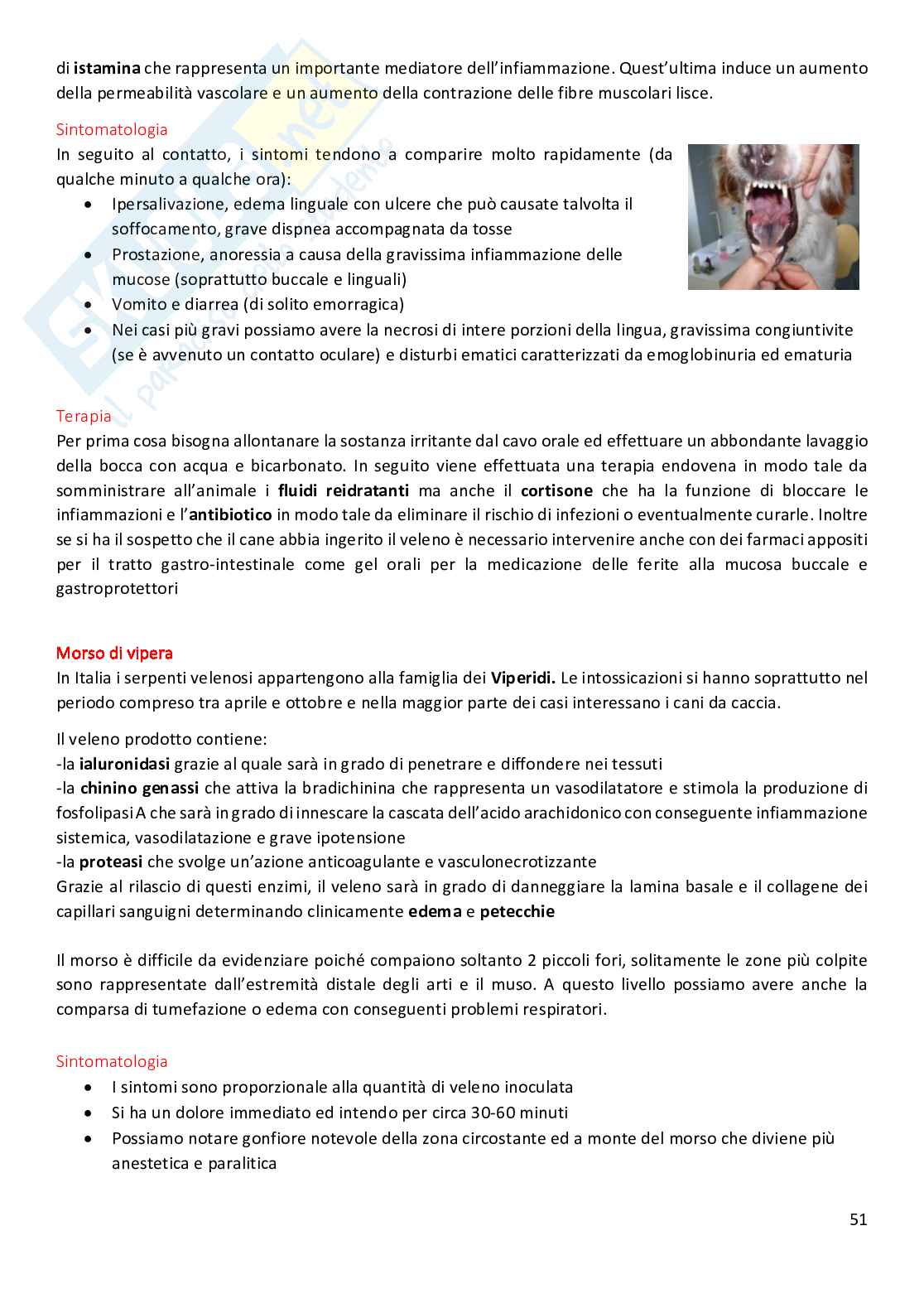 Tossicologia veterinaria Pag. 51