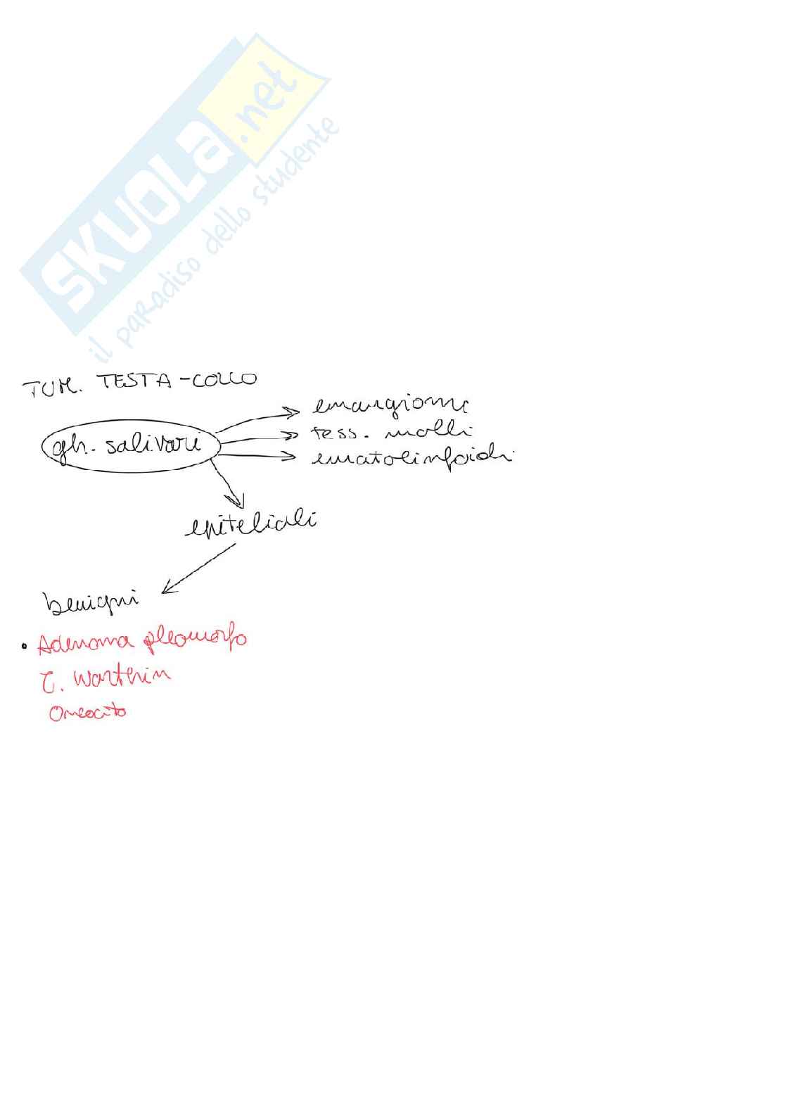 Anatomia patologica Pag. 2