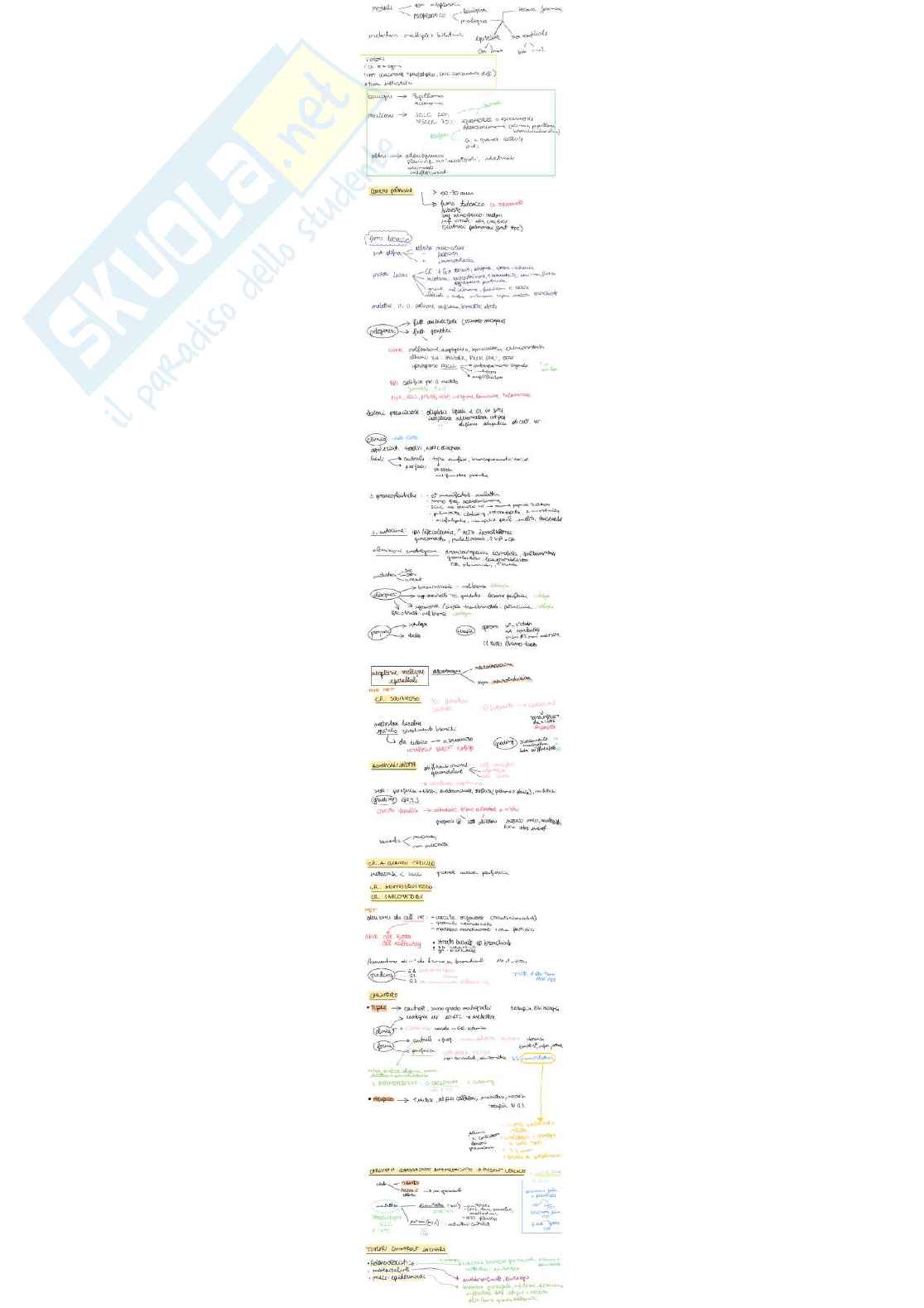 Anatomia patologica Pag. 6