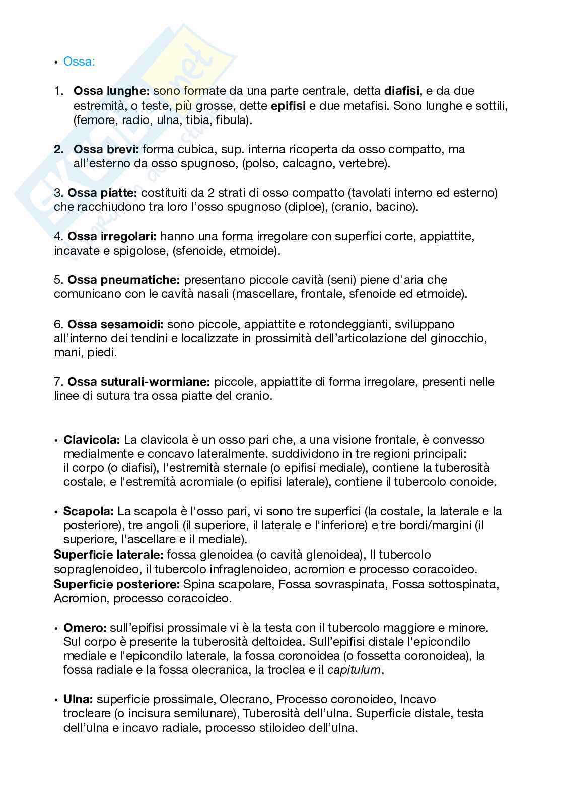 Anatomia applicata all'attività motoria  Pag. 1
