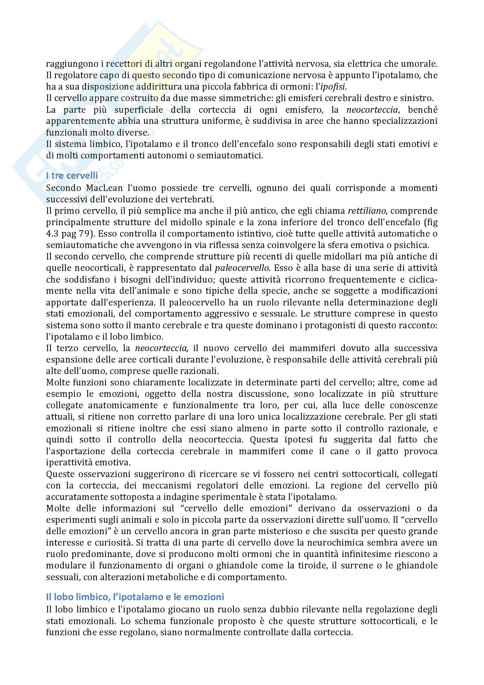 Sunto psicologia della percezione, docente R. Caterina, libro consigliato Arte e Cervello, Maffei, Fiorentini Pag. 6