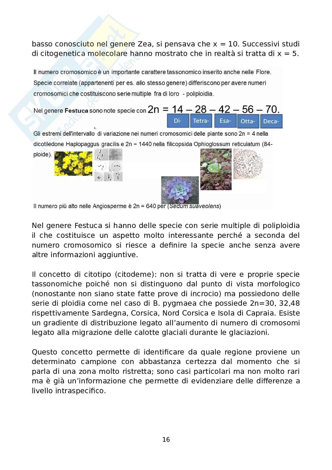 Botanica forense Pag. 16