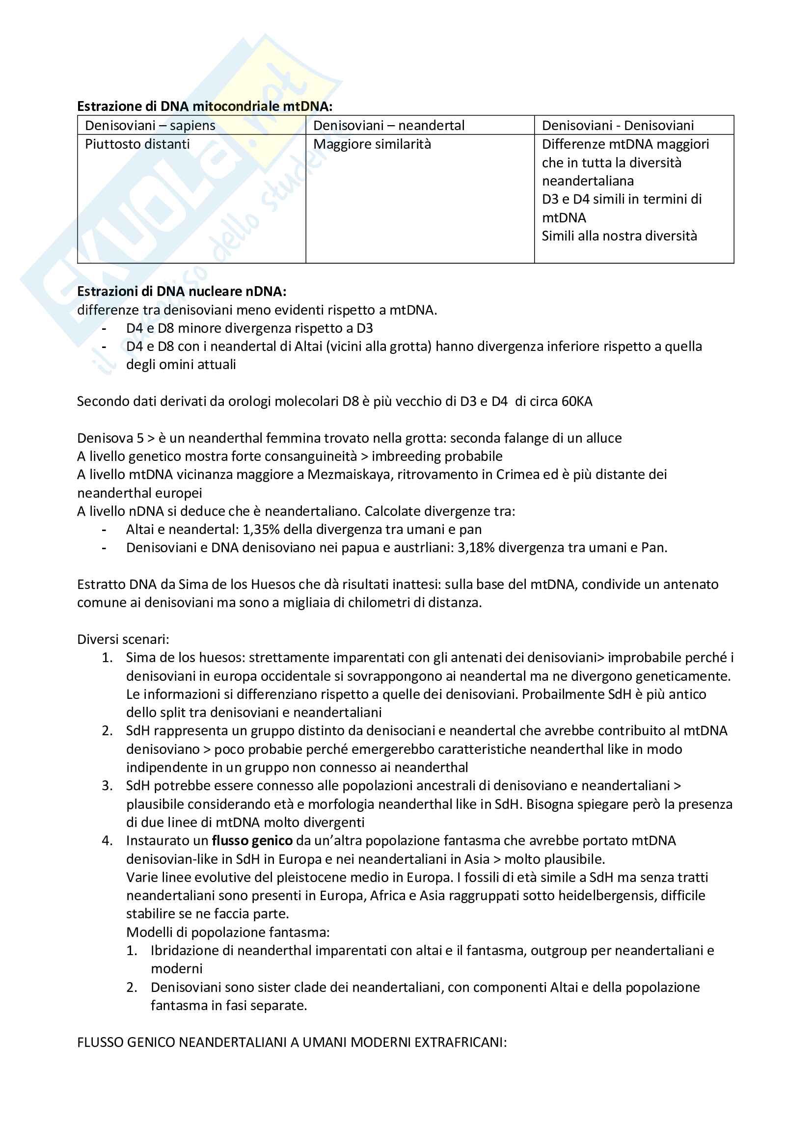 Antropologia sistematica Pag. 31