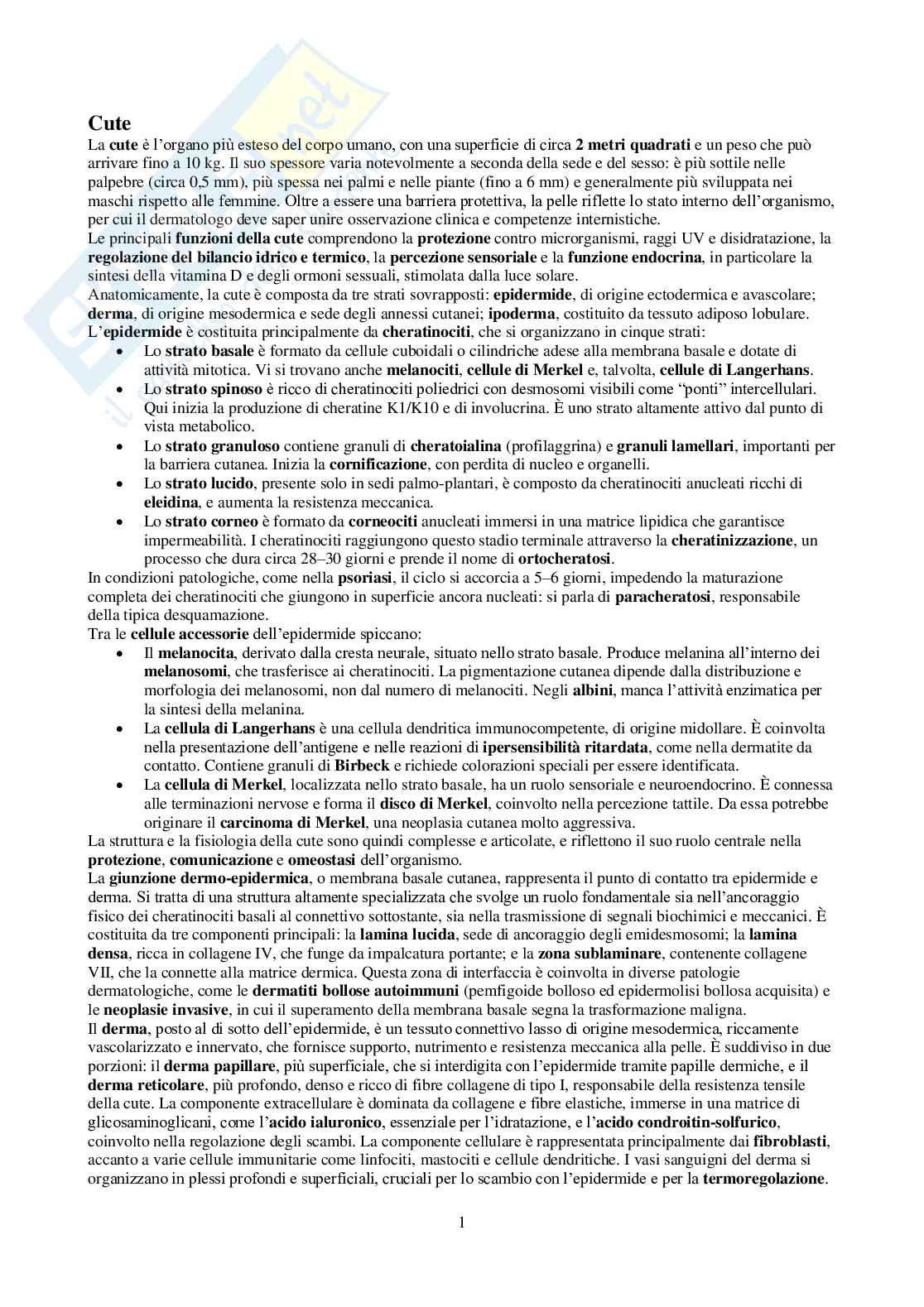 Riassunto esame Dermatologia, Prof. Rongioletti Franco, libro consigliato Dermatologia, Gritti Pag. 1