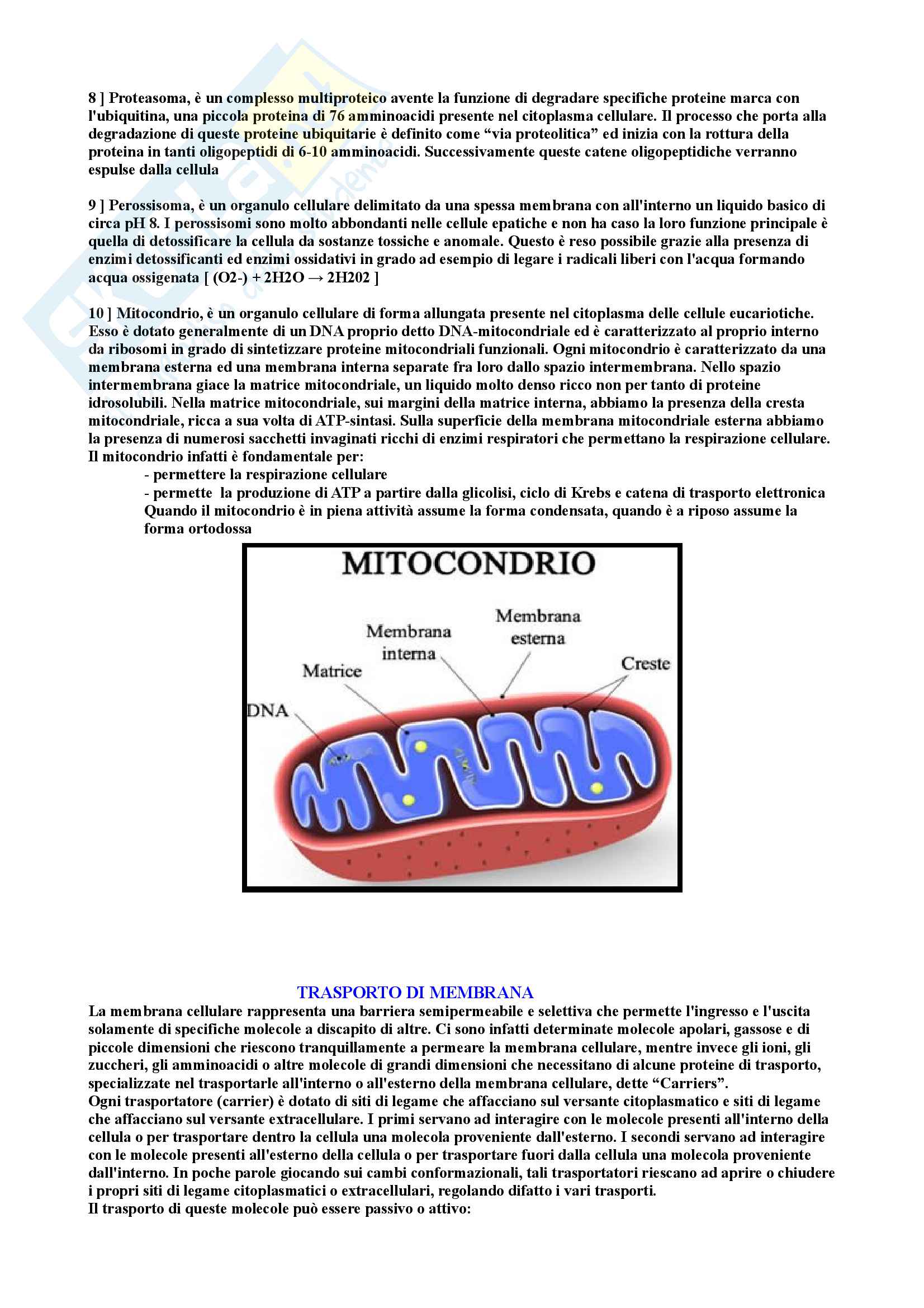 Riassunto di Biologia molecolare Pag. 6