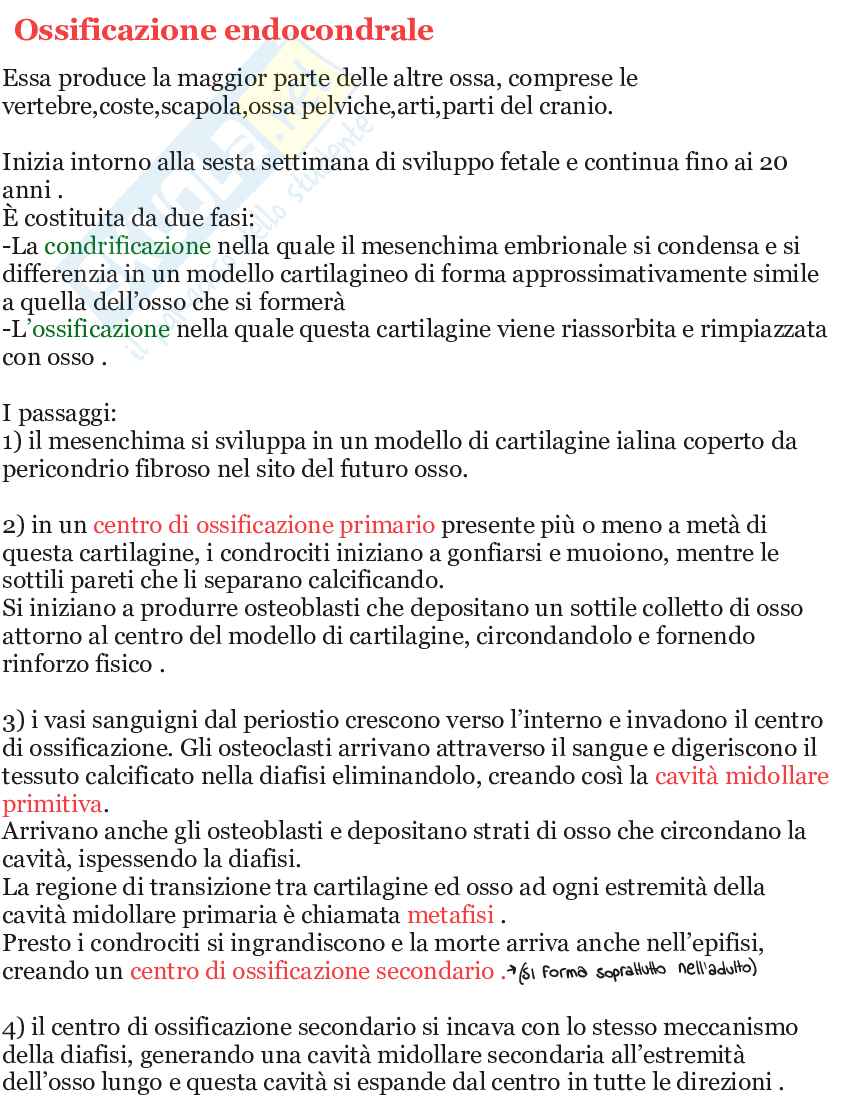 Riassunto esame Apparato scheletrico e muscolare anatomia umana, Prof. Martellucci Leone, libro consigliato Anatomia umana, Saladin Pag. 11