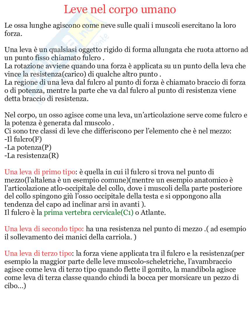 Riassunto esame Apparato scheletrico e muscolare anatomia umana, Prof. Martellucci Leone, libro consigliato Anatomia umana, Saladin Pag. 21