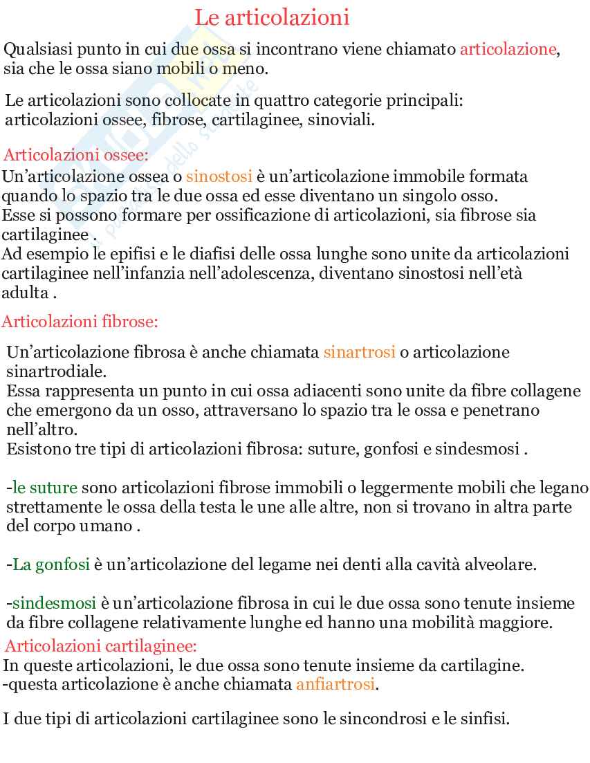 Riassunto esame Apparato scheletrico e muscolare anatomia umana, Prof. Martellucci Leone, libro consigliato Anatomia umana, Saladin Pag. 31