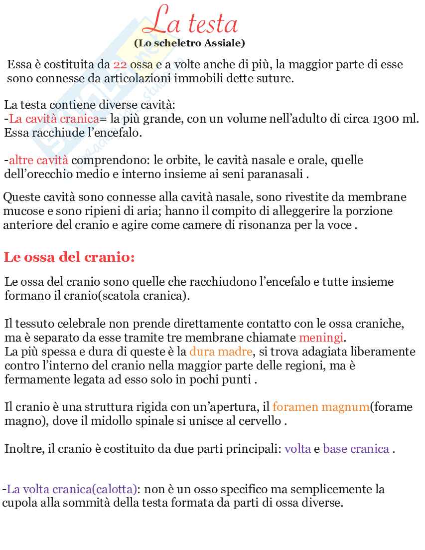 Riassunto esame Apparato scheletrico e muscolare anatomia umana, Prof. Martellucci Leone, libro consigliato Anatomia umana, Saladin Pag. 46