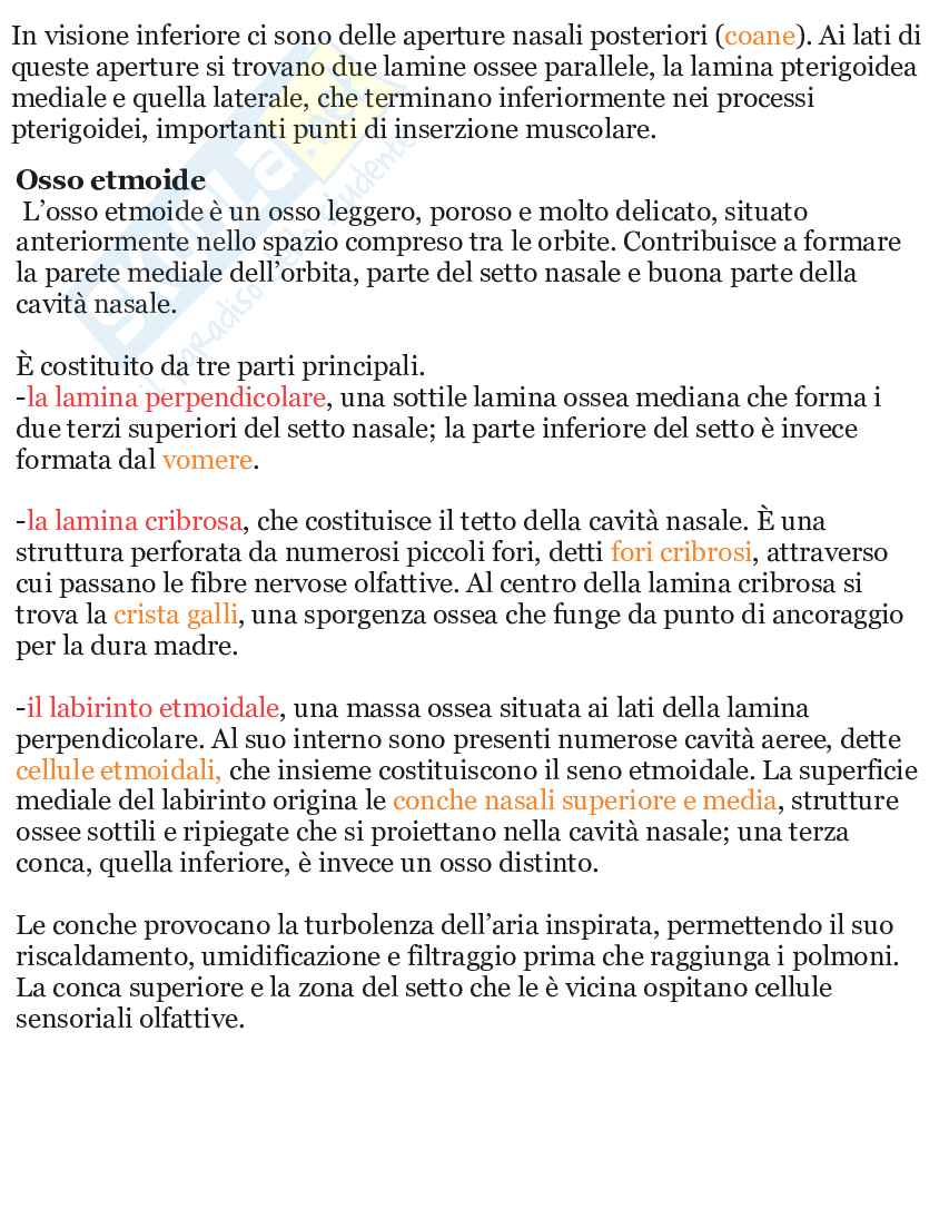 Riassunto esame Apparato scheletrico e muscolare anatomia umana, Prof. Martellucci Leone, libro consigliato Anatomia umana, Saladin Pag. 51