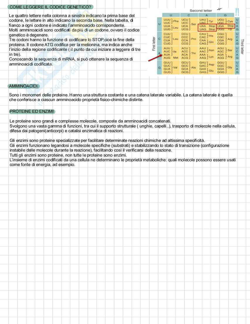 Appunti secondo parziale Fondamenti di ingegneria ambientale Pag. 16