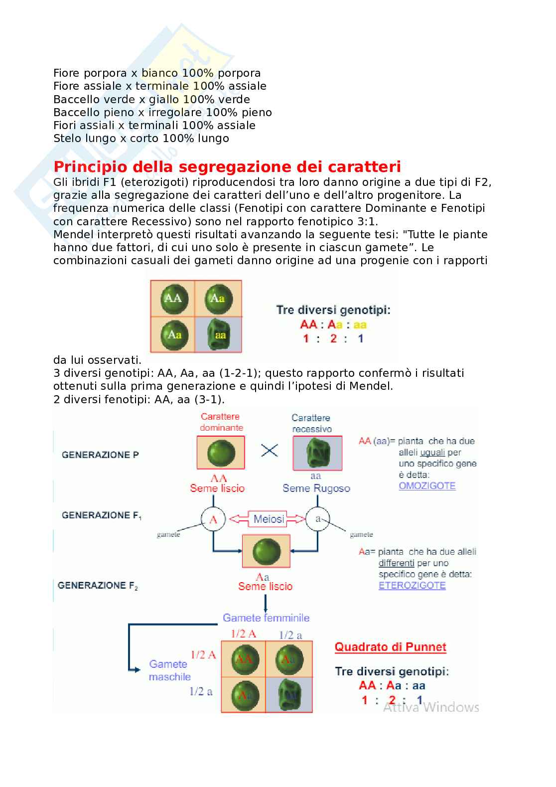 Generica agraria Pag. 11