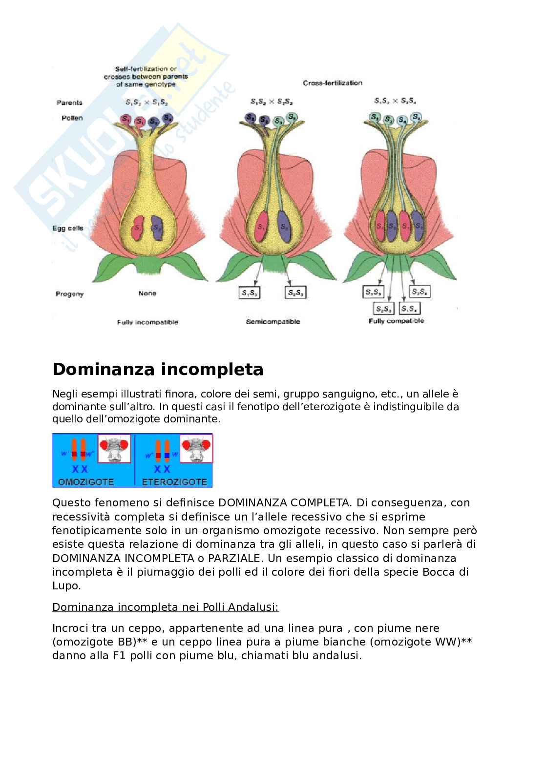 Generica agraria Pag. 16