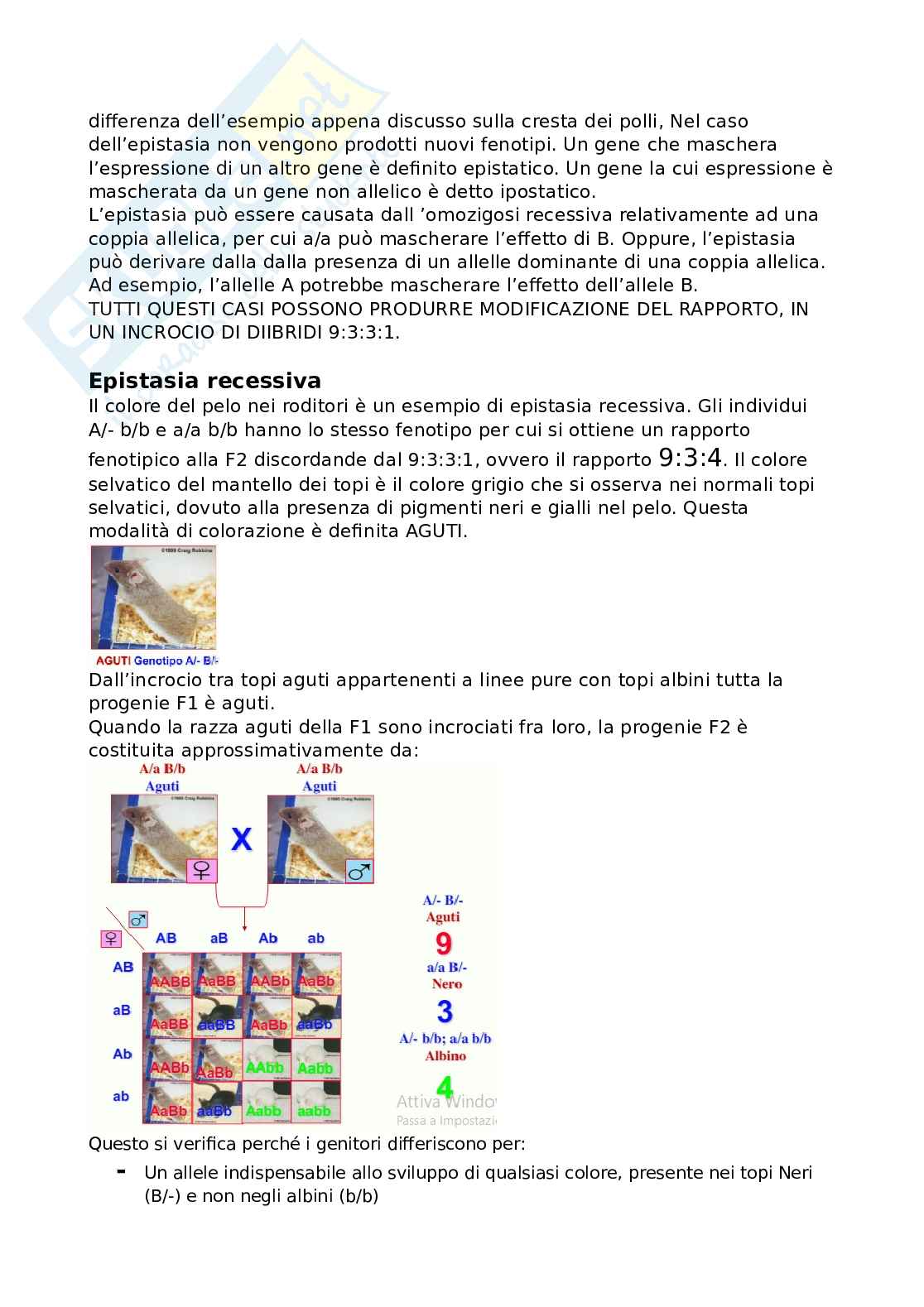 Generica agraria Pag. 21