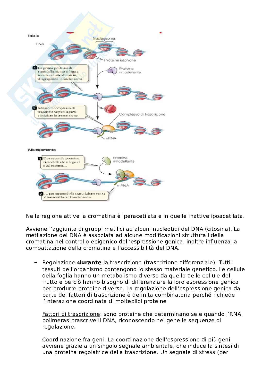 Generica agraria Pag. 6