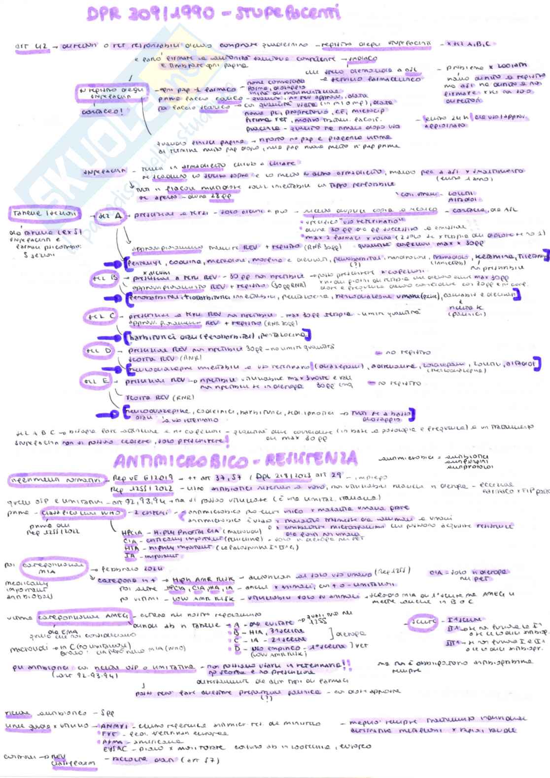 Farmacosorveglianza veterinaria - Appunti schematizzati scritti a mano e colorati Pag. 6